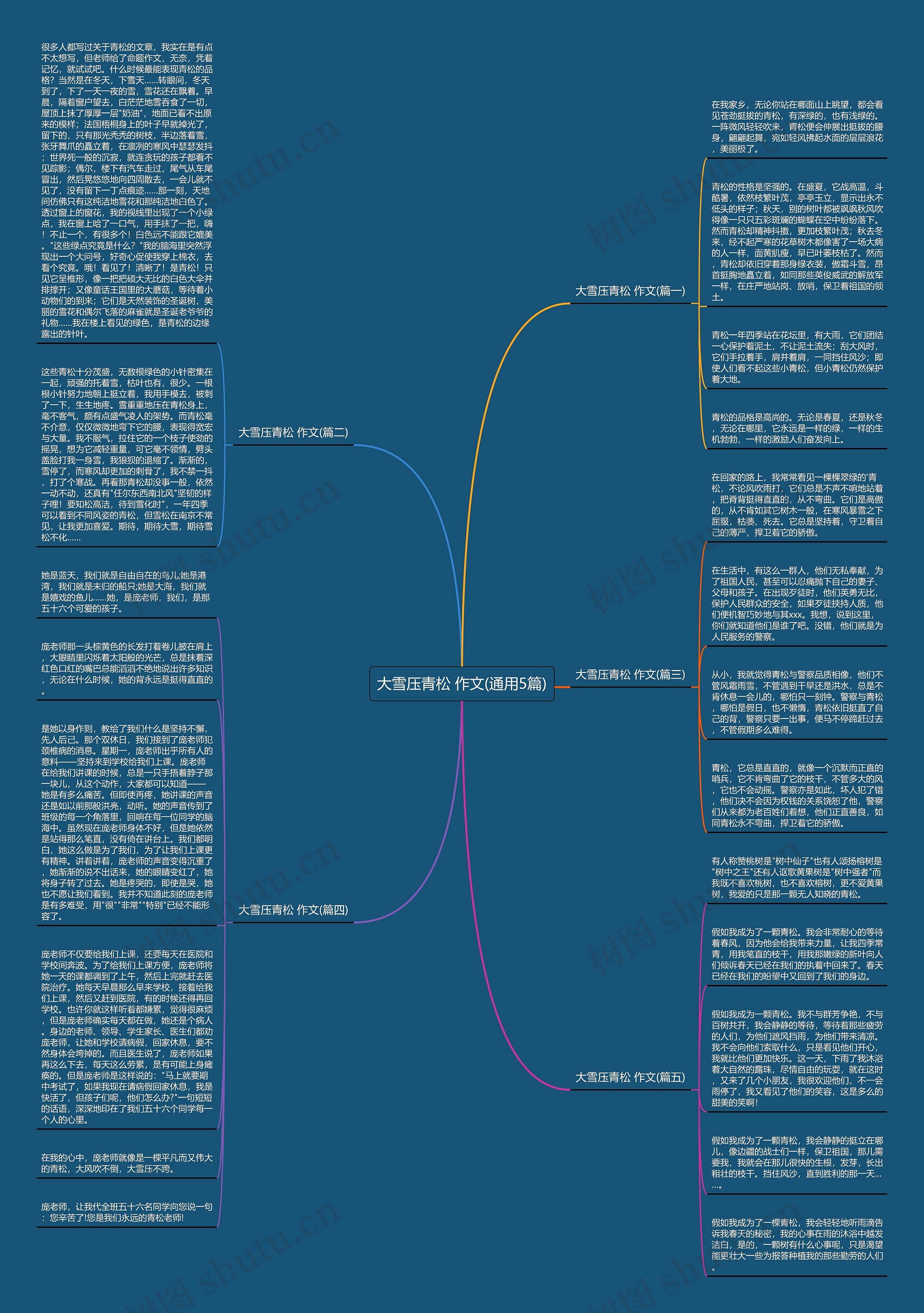 大雪压青松 作文(通用5篇)思维导图