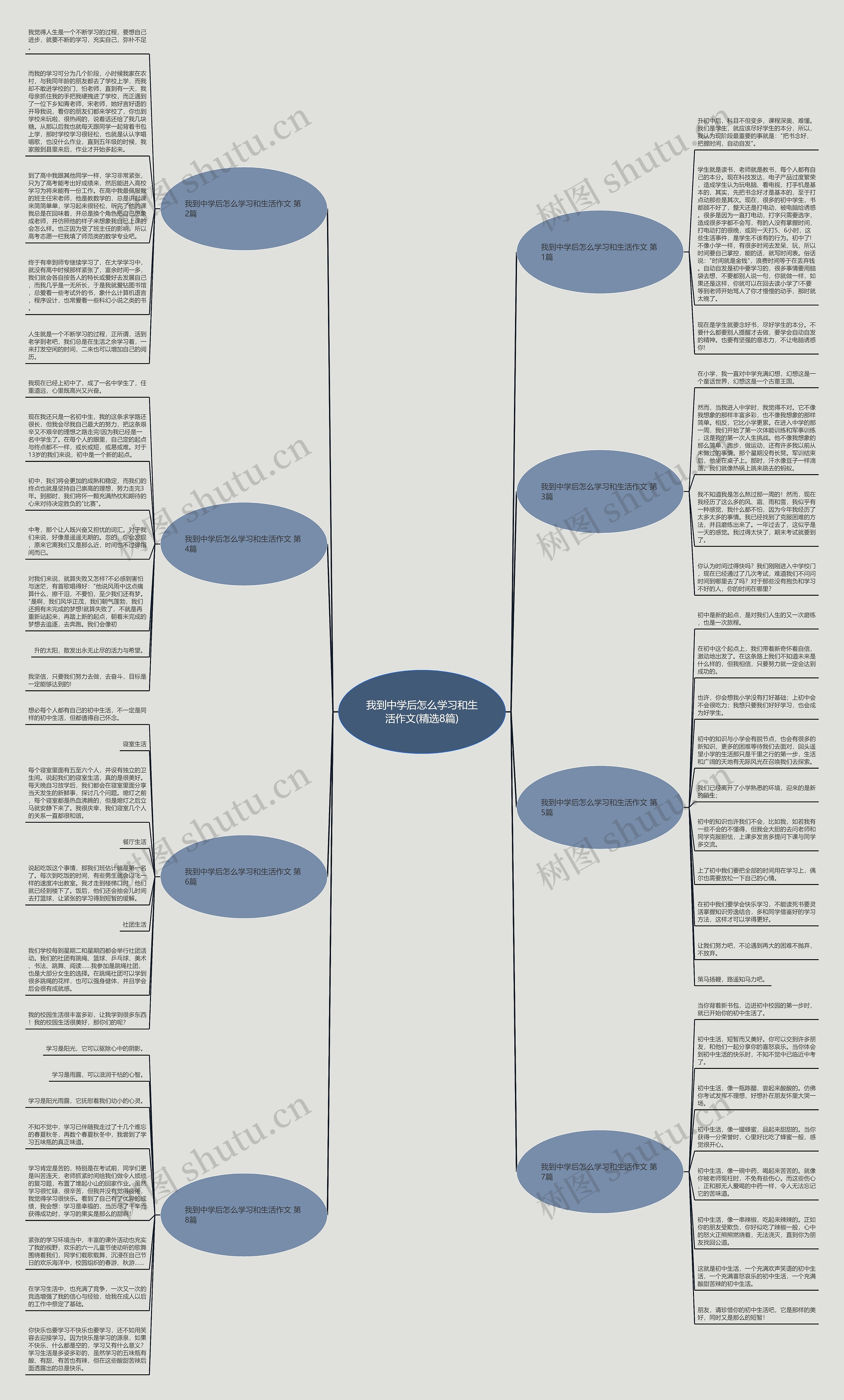 我到中学后怎么学习和生活作文(精选8篇)思维导图