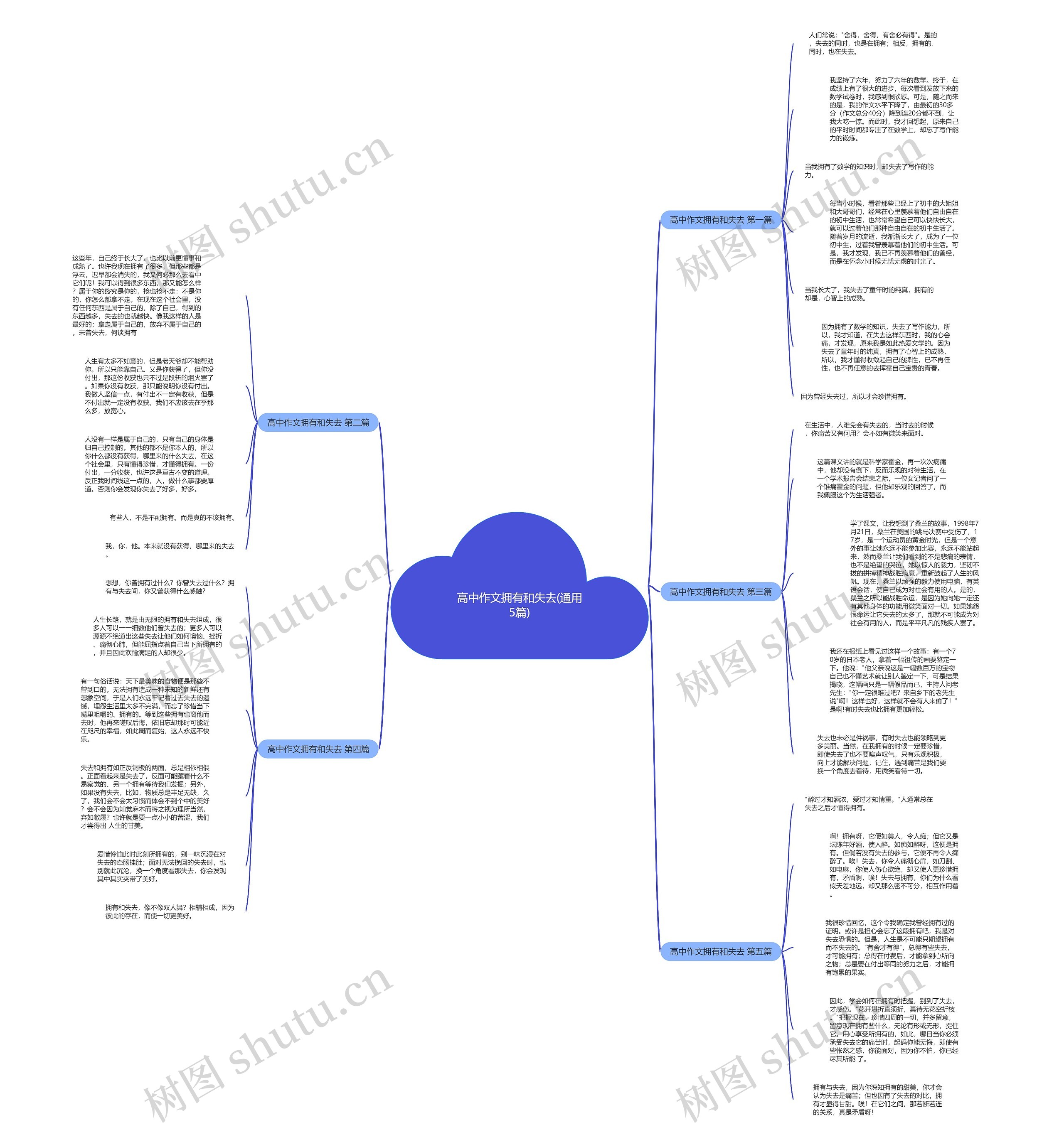 高中作文拥有和失去(通用5篇)思维导图