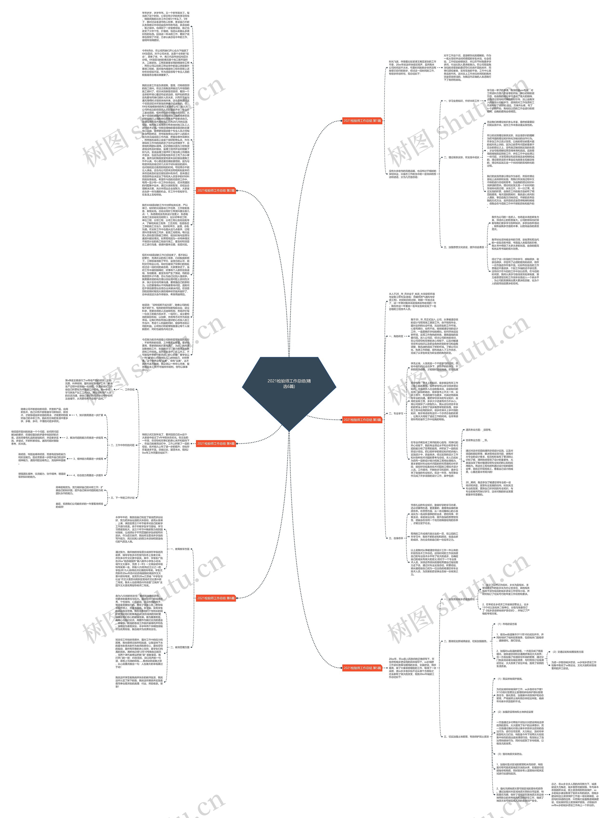 2021检验师工作总结(精选6篇)思维导图