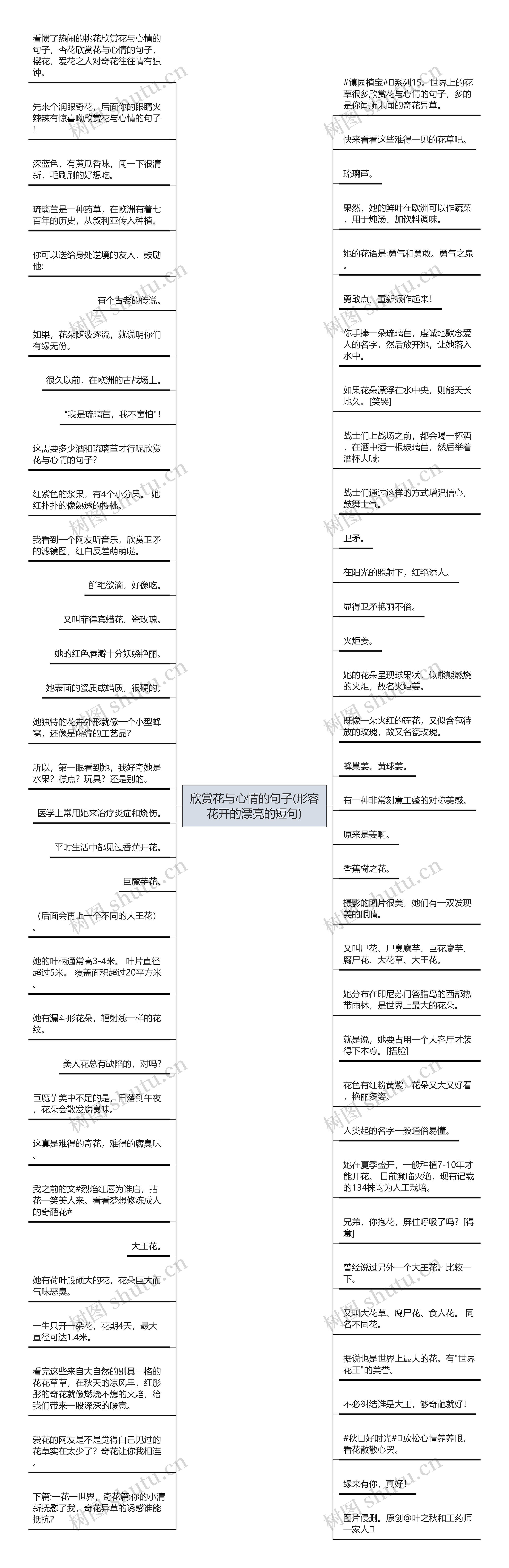 欣赏花与心情的句子(形容花开的漂亮的短句)