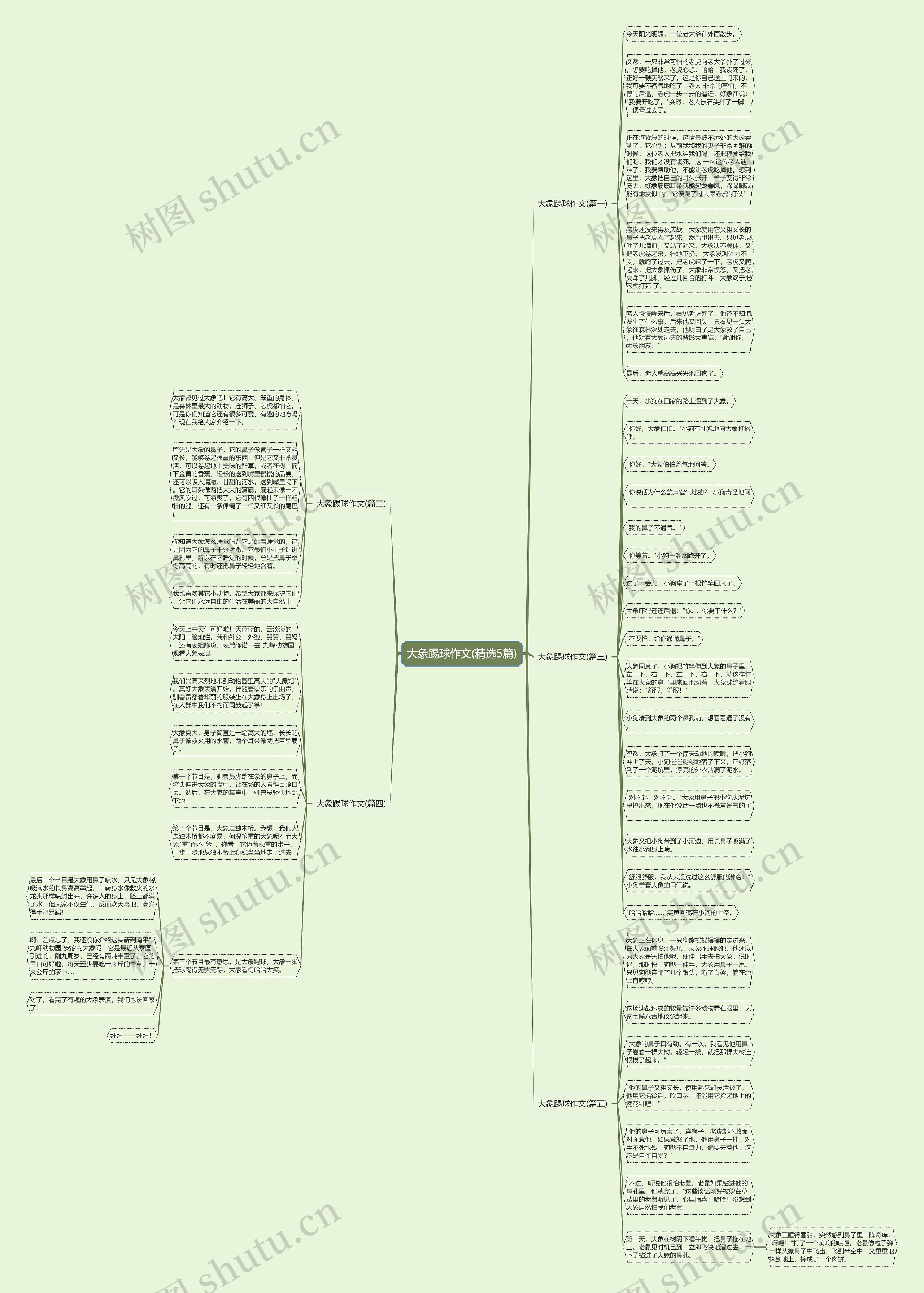 大象踢球作文(精选5篇)思维导图