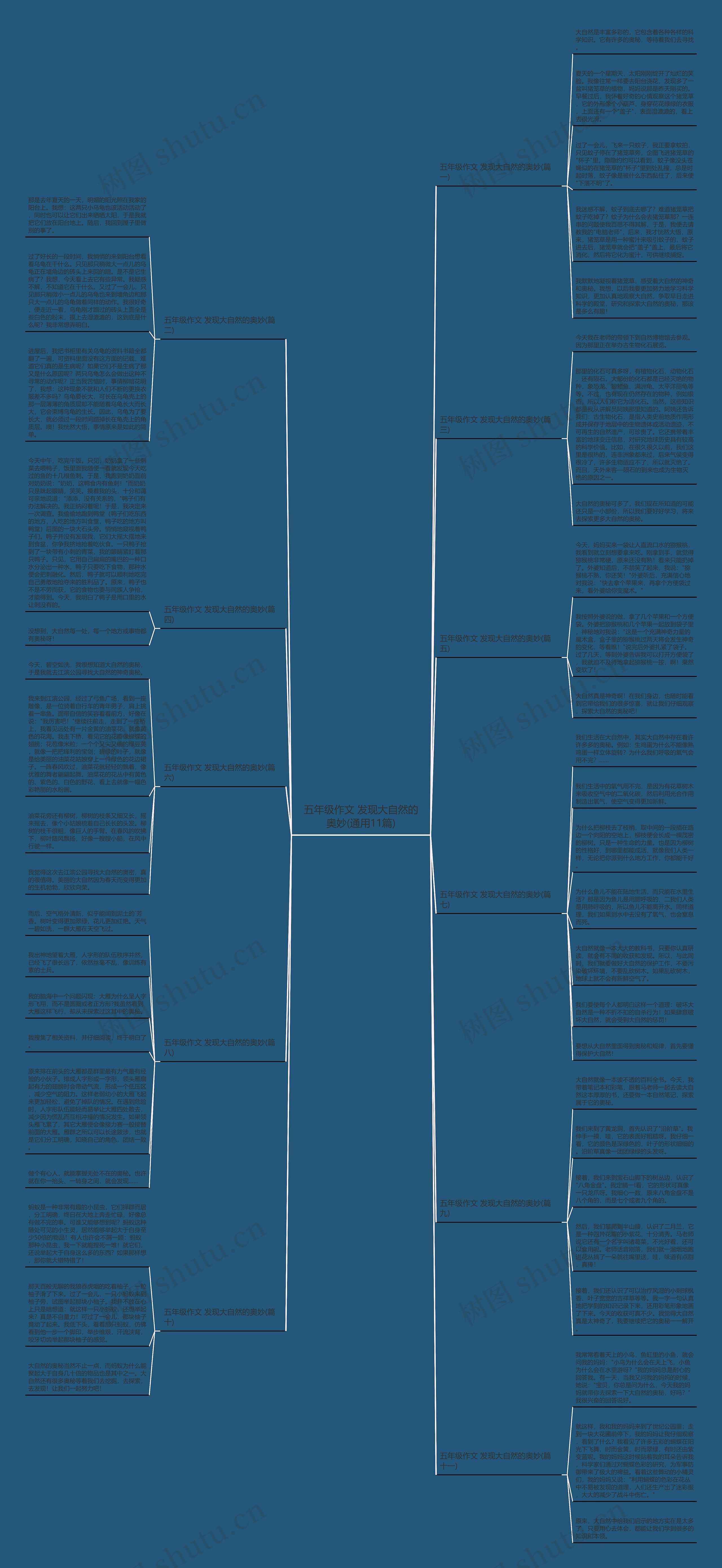 五年级作文 发现大自然的奥妙(通用11篇)思维导图