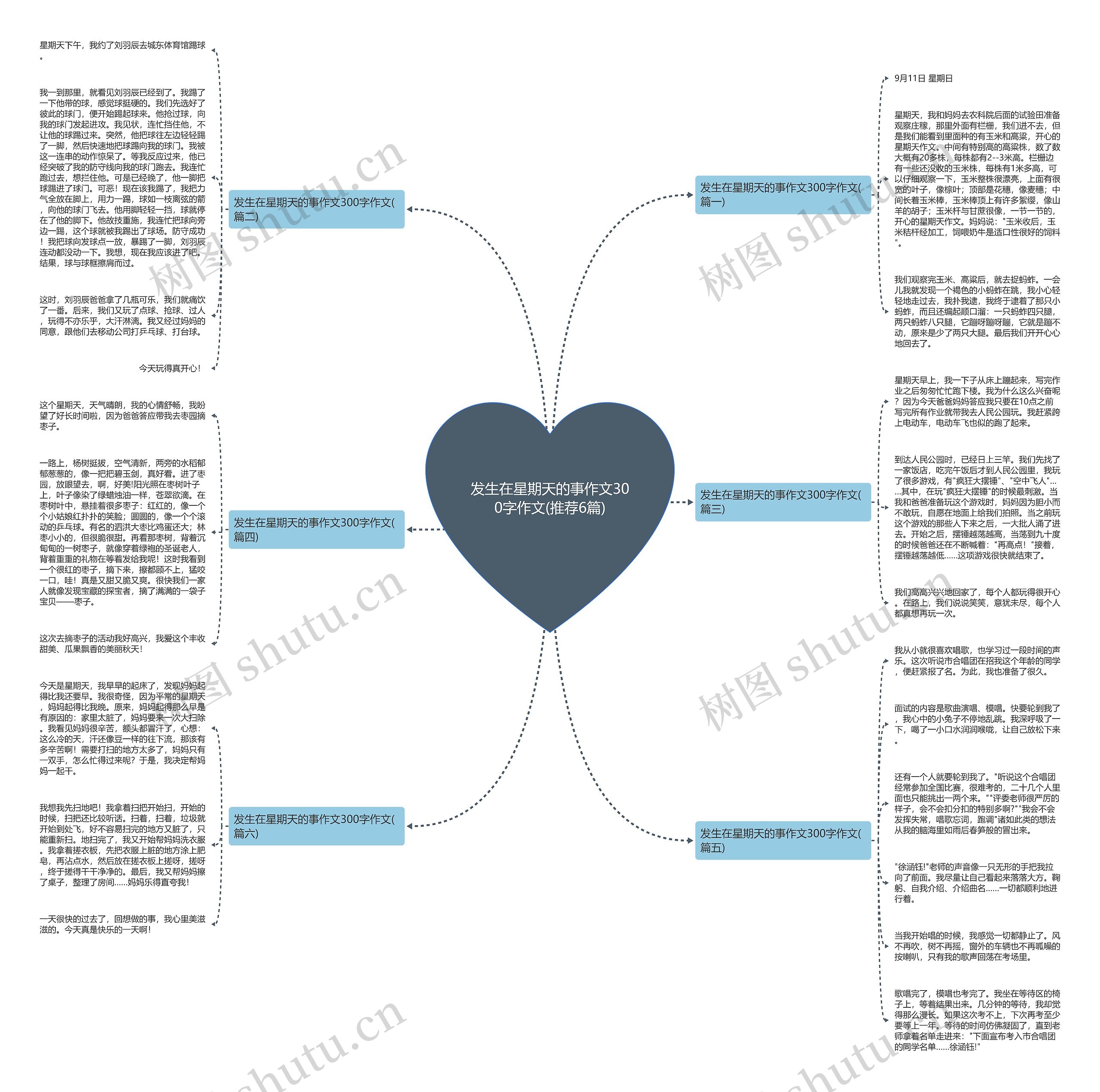 发生在星期天的事作文300字作文(推荐6篇)思维导图