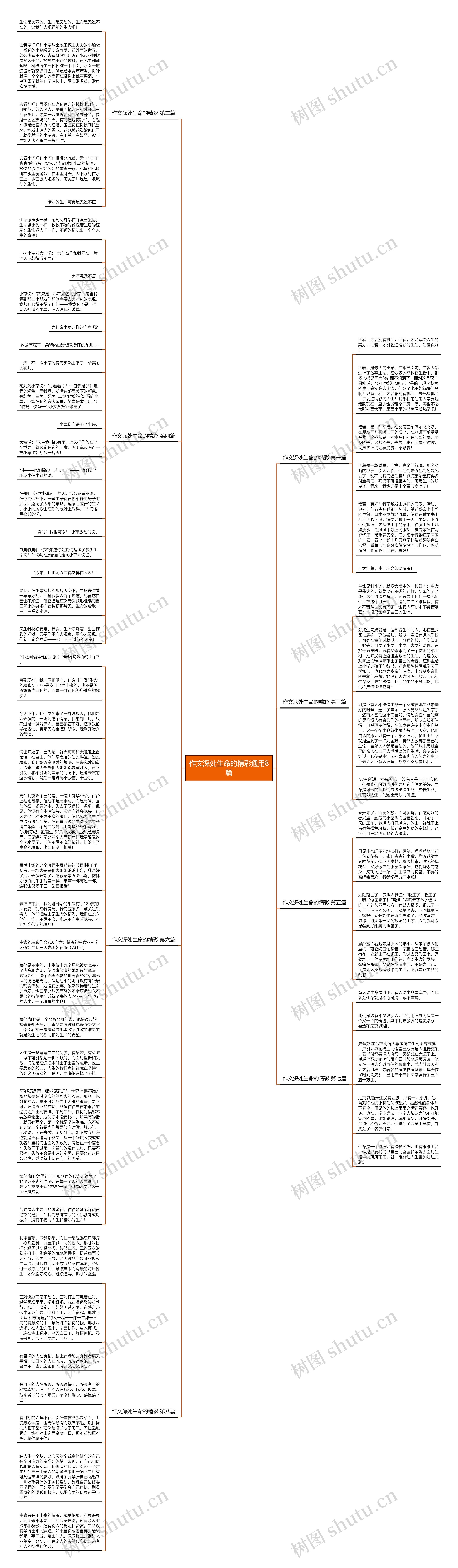 作文深处生命的精彩通用8篇思维导图