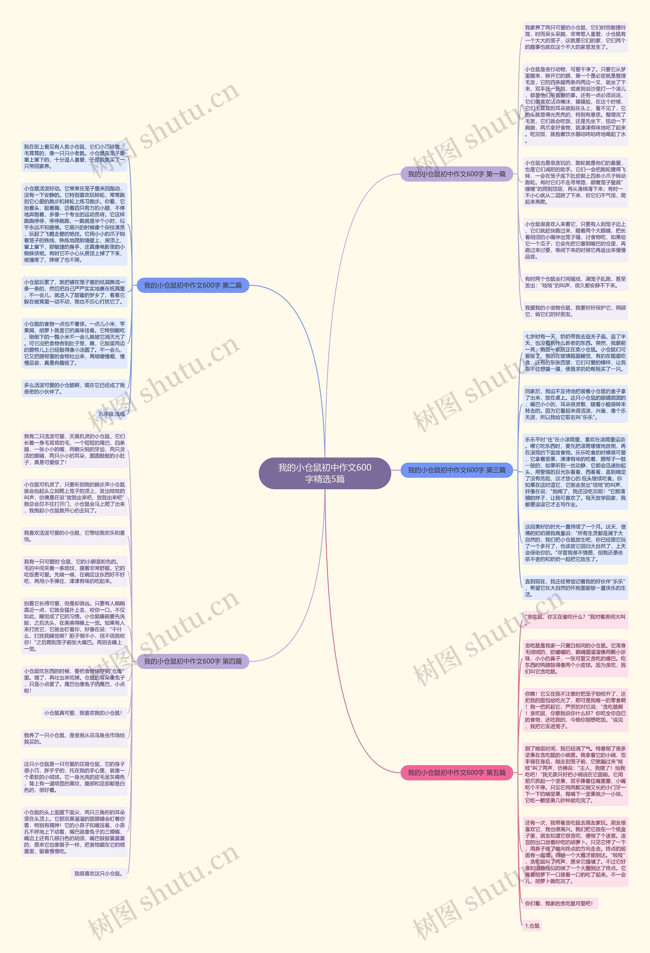 我的小仓鼠初中作文600字精选5篇思维导图