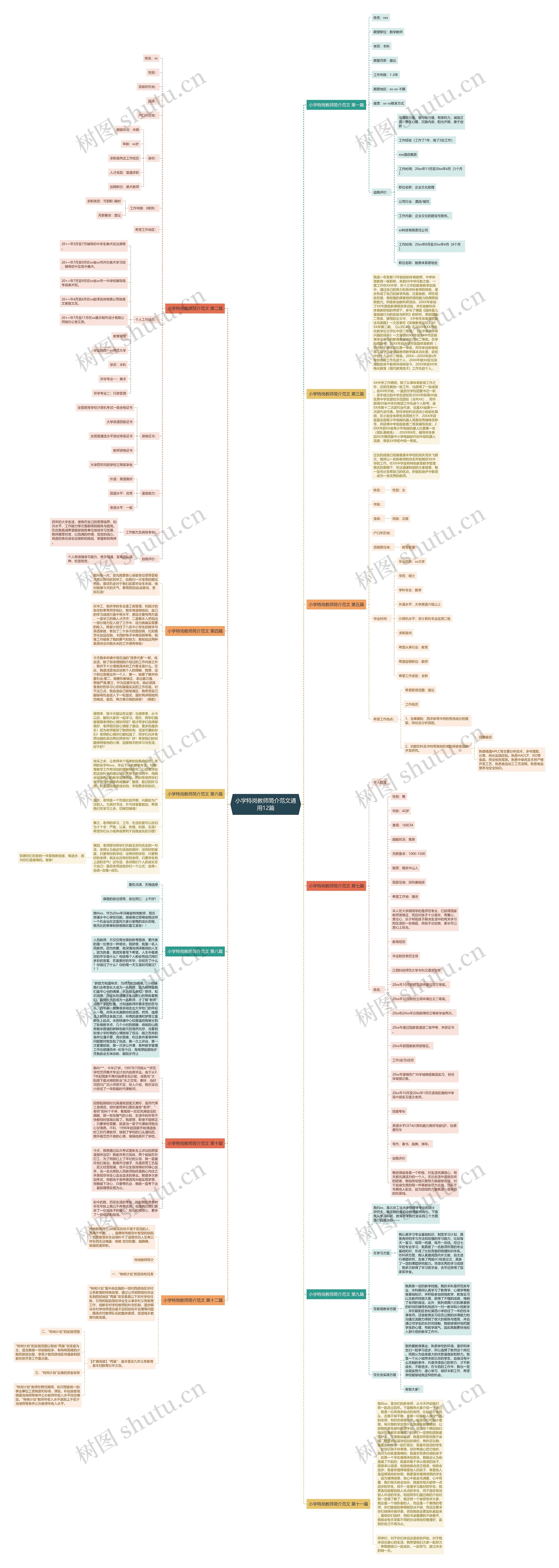 小学特岗教师简介范文通用12篇思维导图