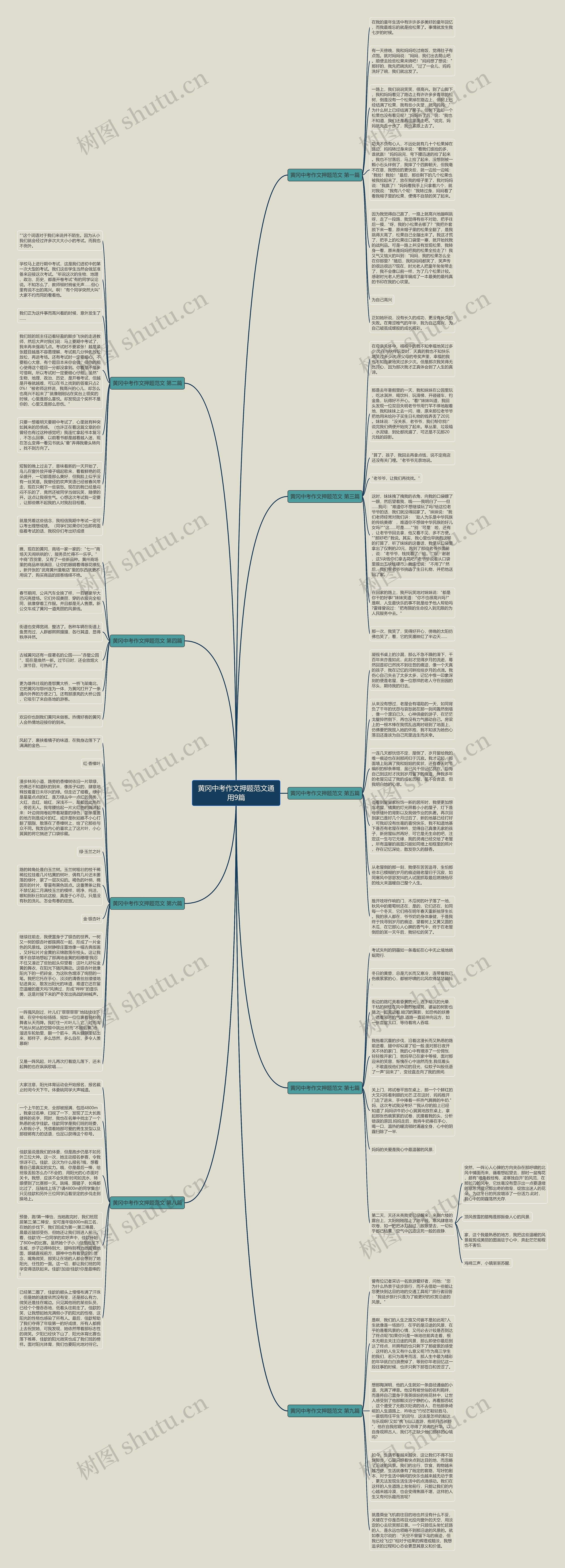 黄冈中考作文押题范文通用9篇思维导图