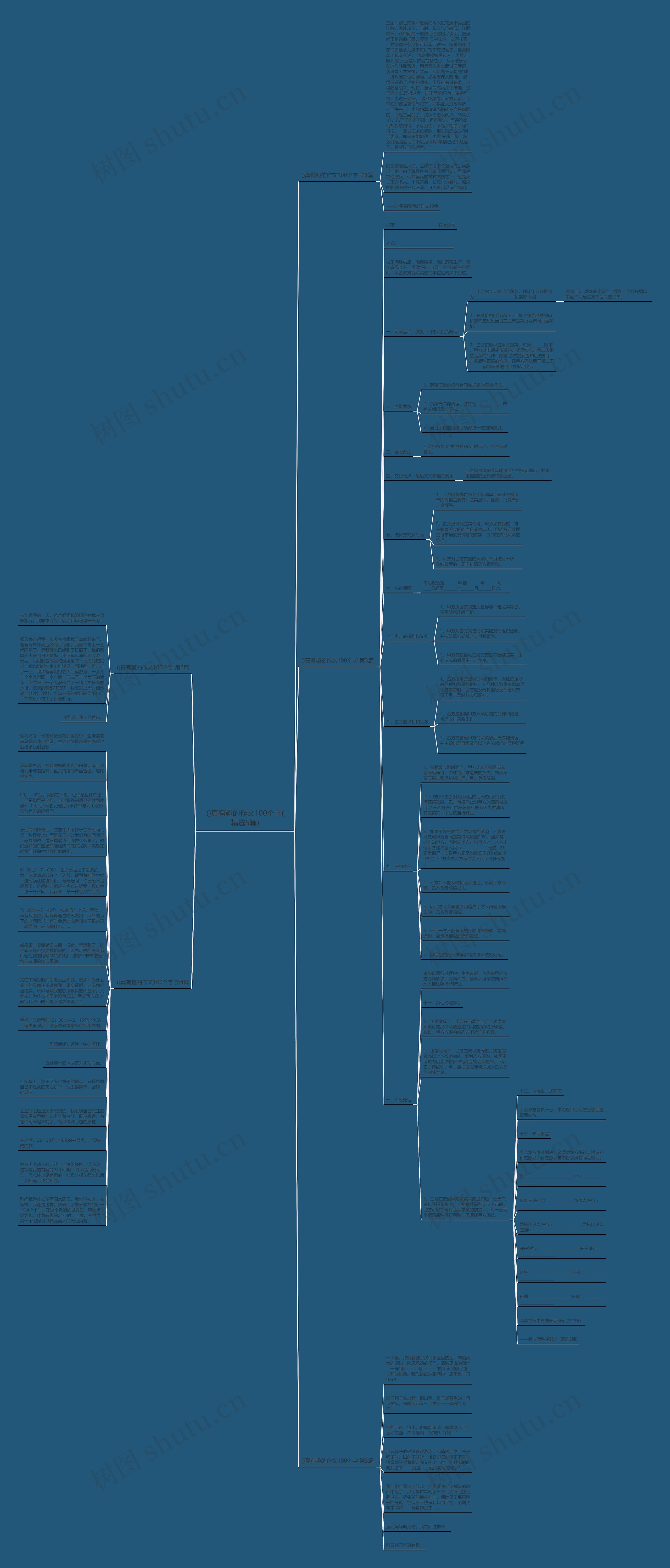 ()真有趣的作文100个字(精选5篇)思维导图