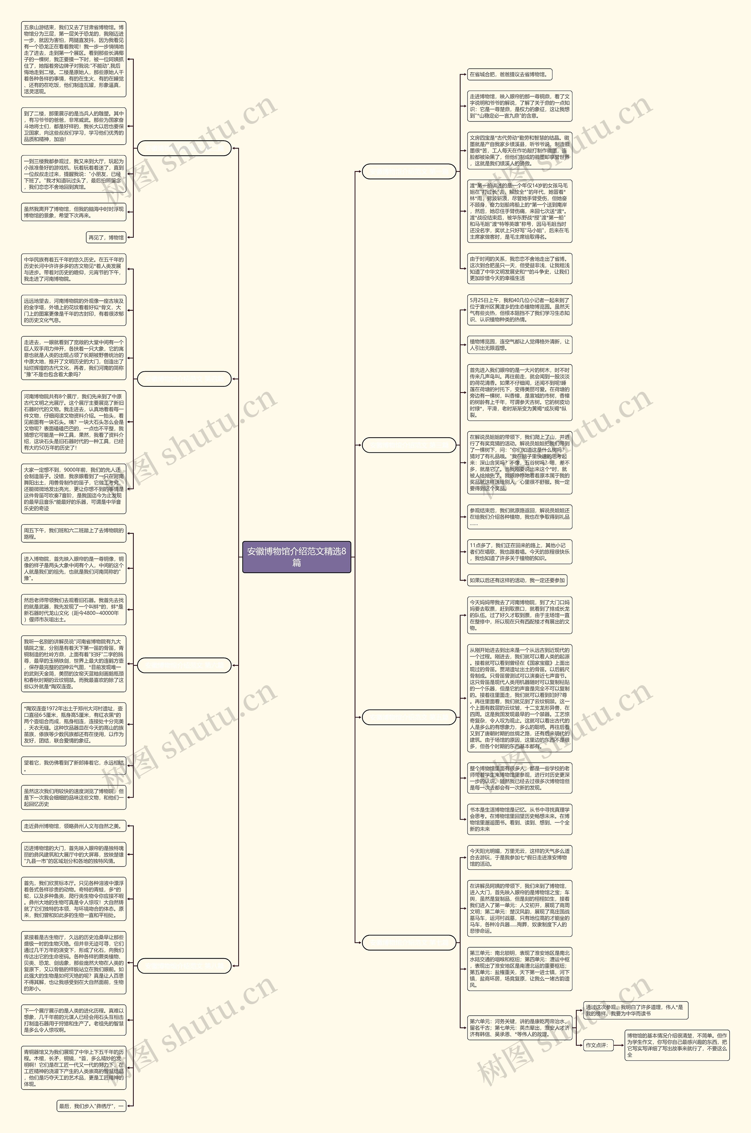 安徽博物馆介绍范文精选8篇思维导图