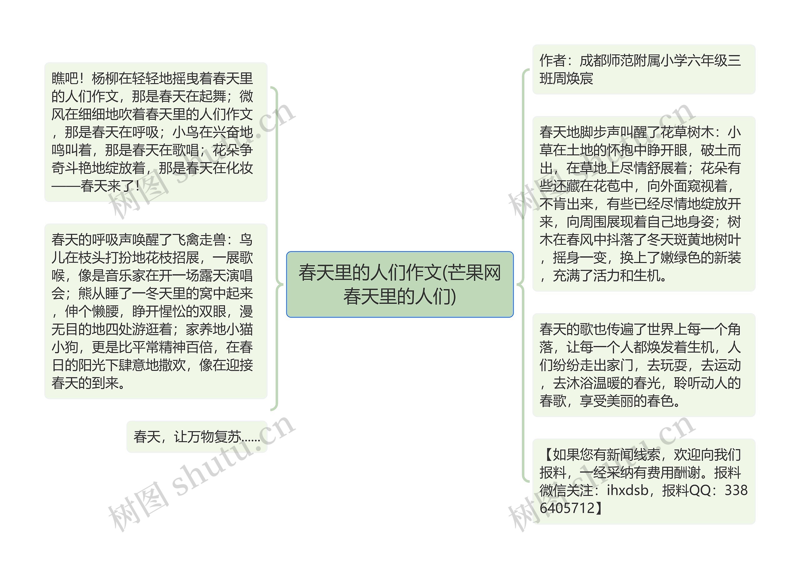 春天里的人们作文(芒果网春天里的人们)