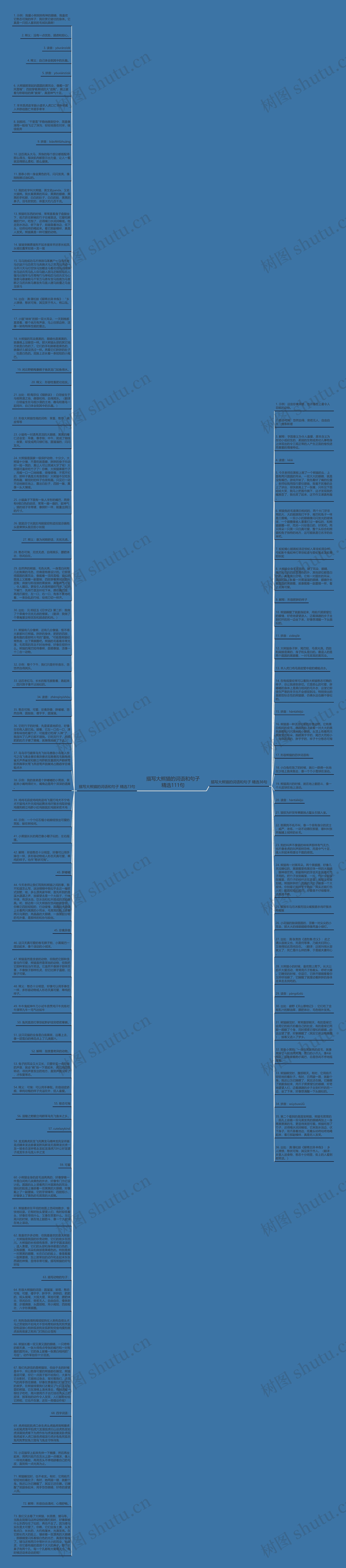 描写大熊猫的词语和句子精选111句思维导图