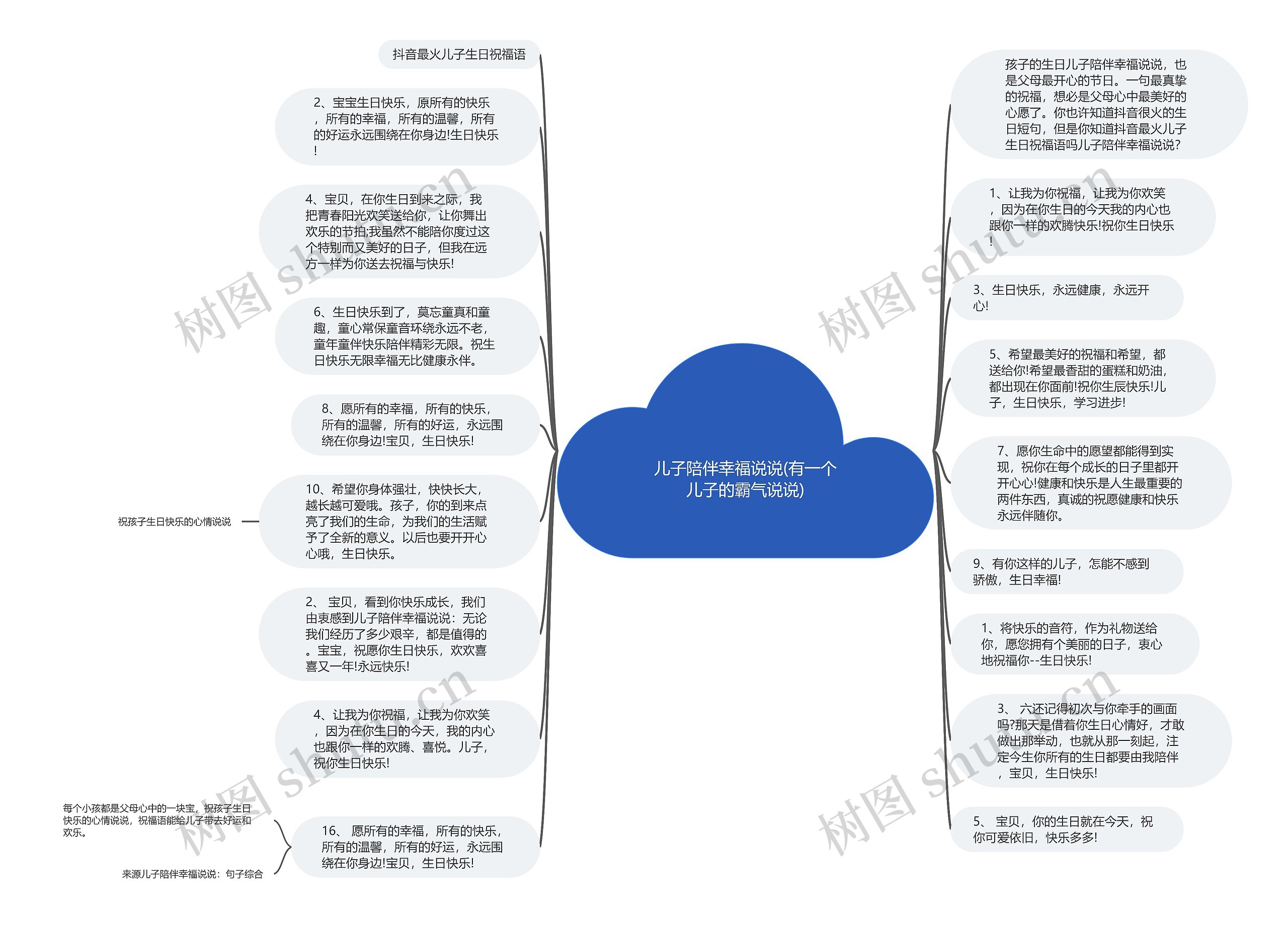 儿子陪伴幸福说说(有一个儿子的霸气说说)思维导图