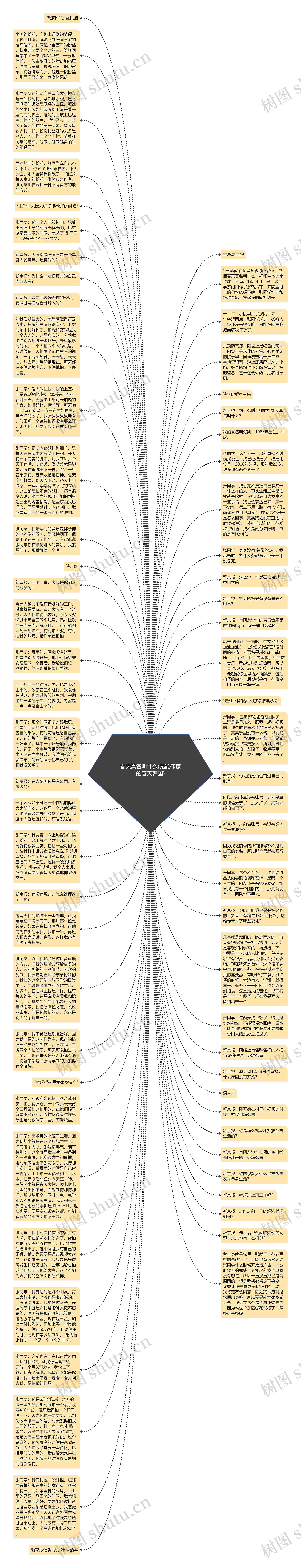 春天真名叫什么(无能作家的春天韩国)思维导图