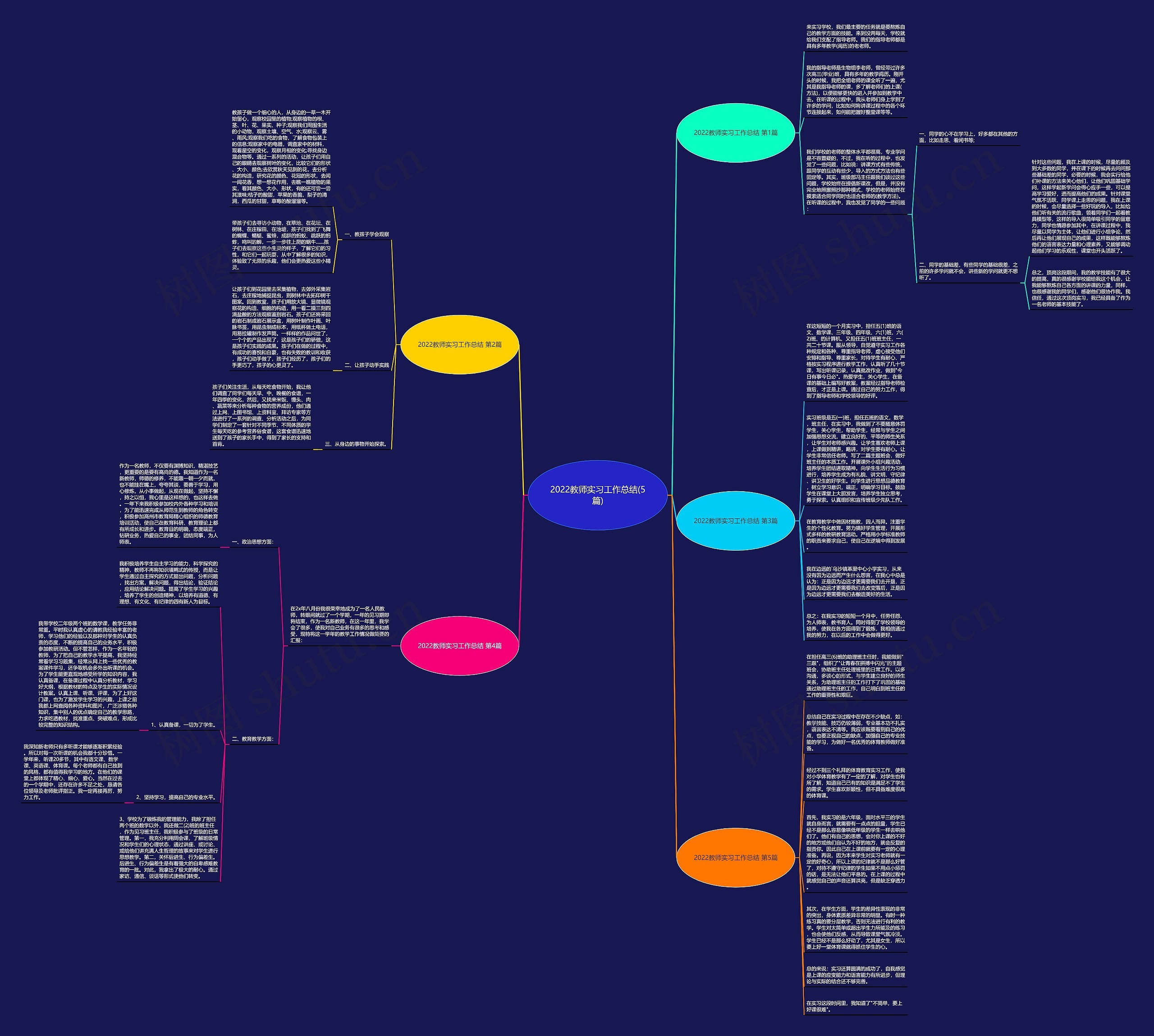 2022教师实习工作总结(5篇)思维导图
