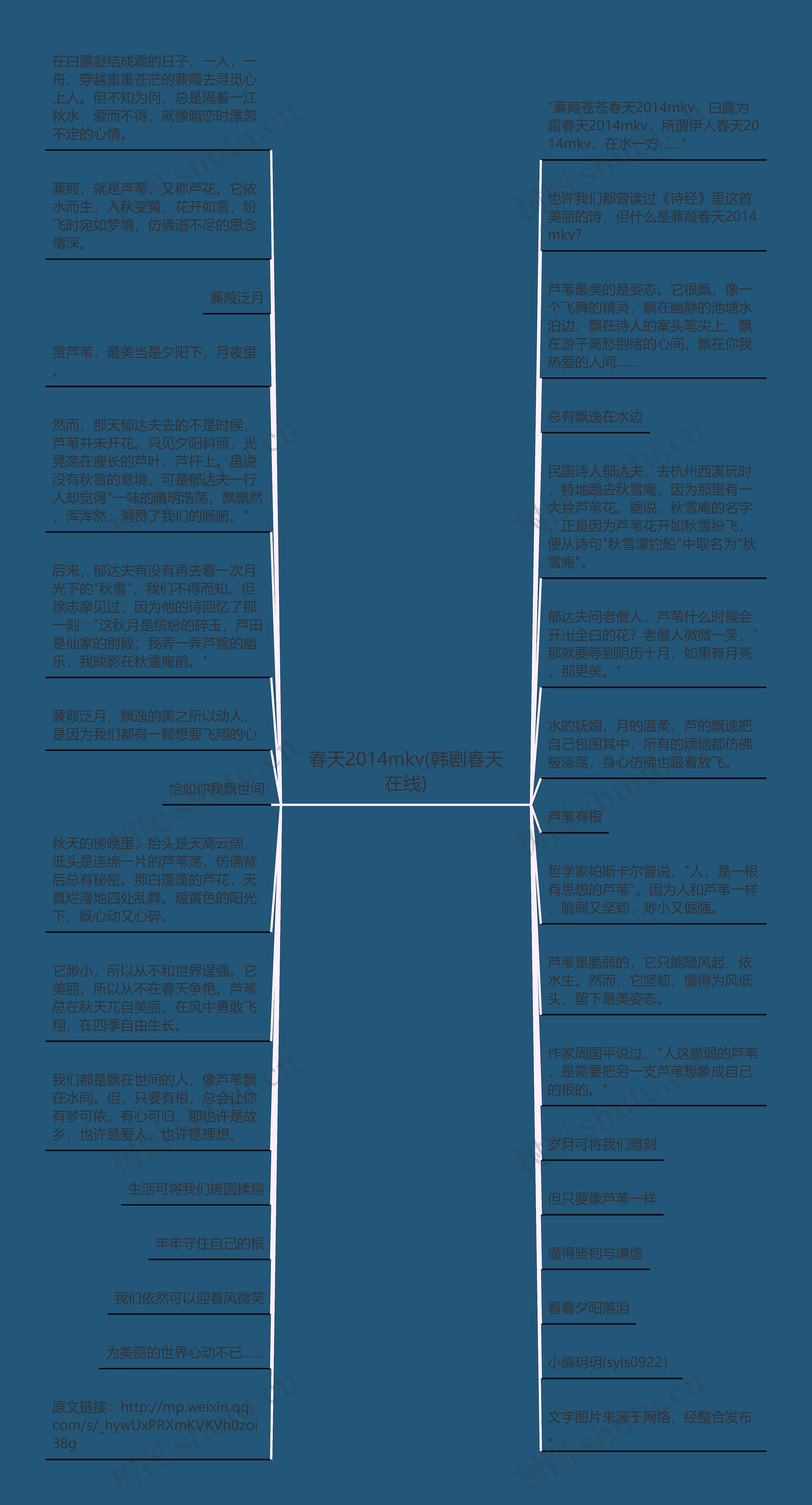 春天2014mkv(韩剧春天在线)思维导图