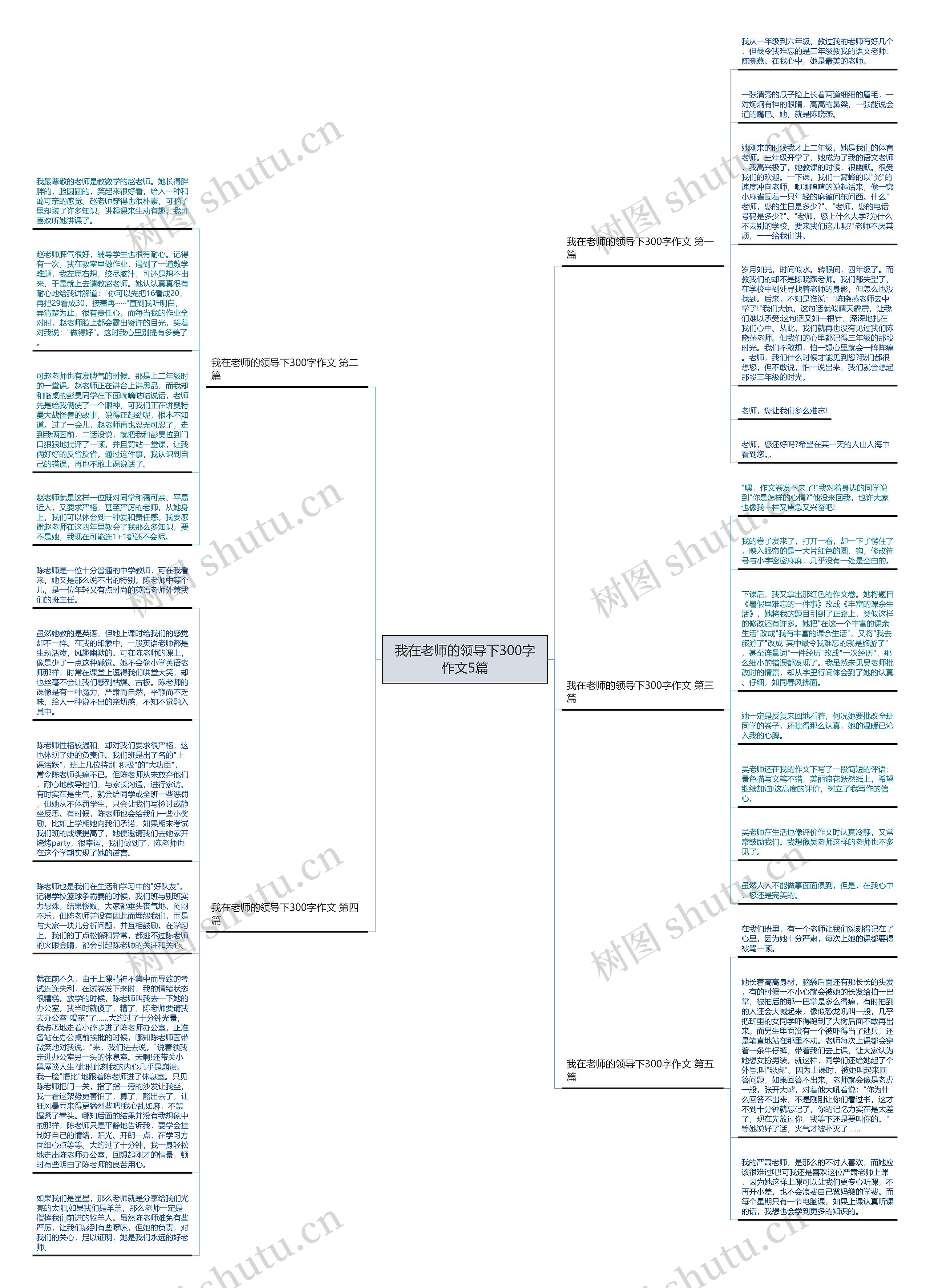 我在老师的领导下300字作文5篇思维导图