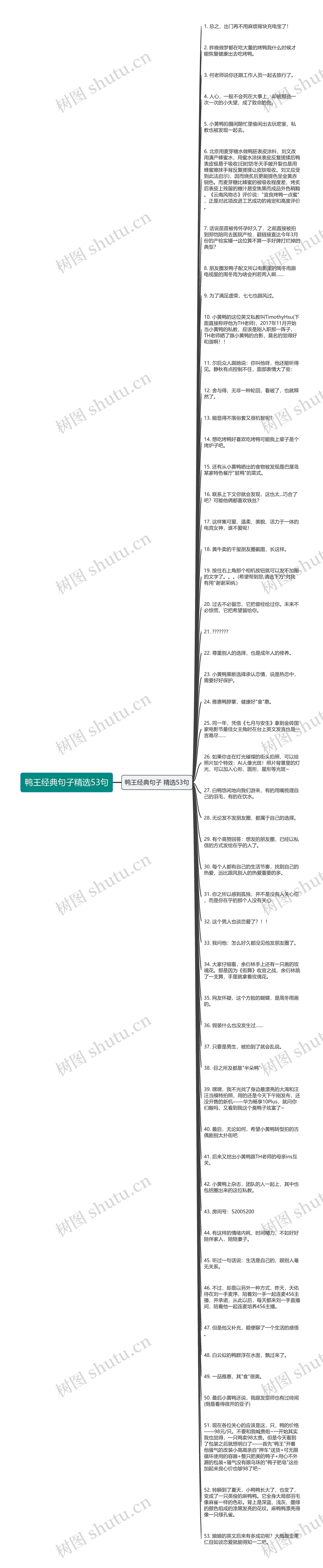 鸭王经典句子精选53句