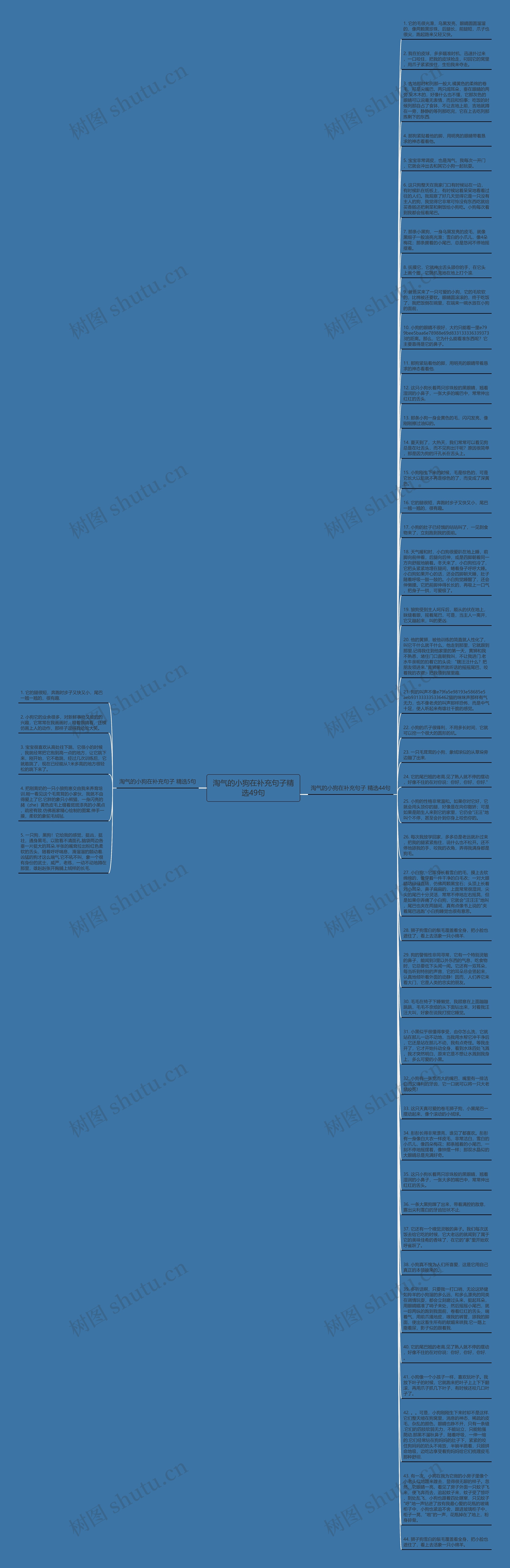 淘气的小狗在补充句子精选49句思维导图