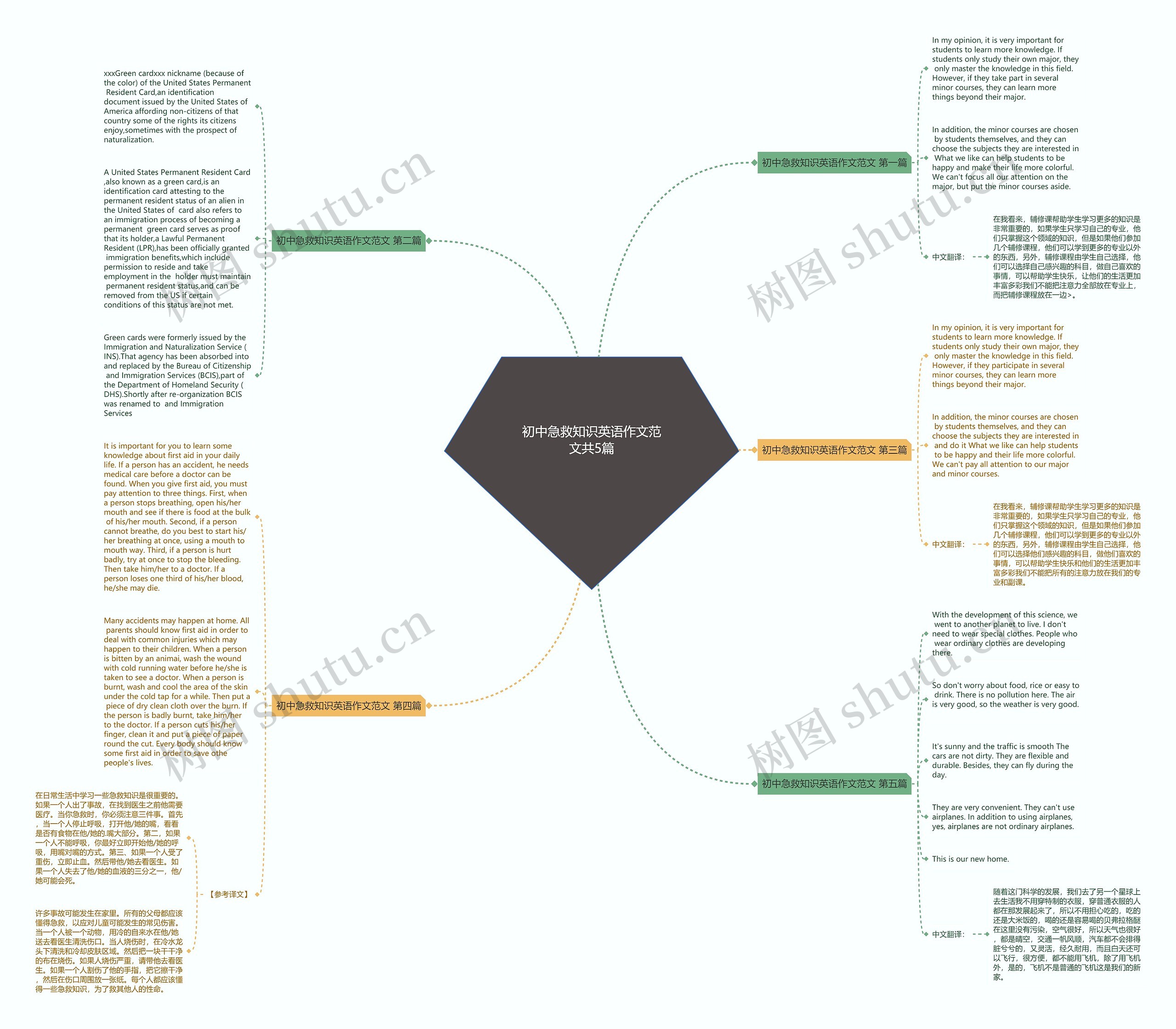 初中急救知识英语作文范文共5篇思维导图