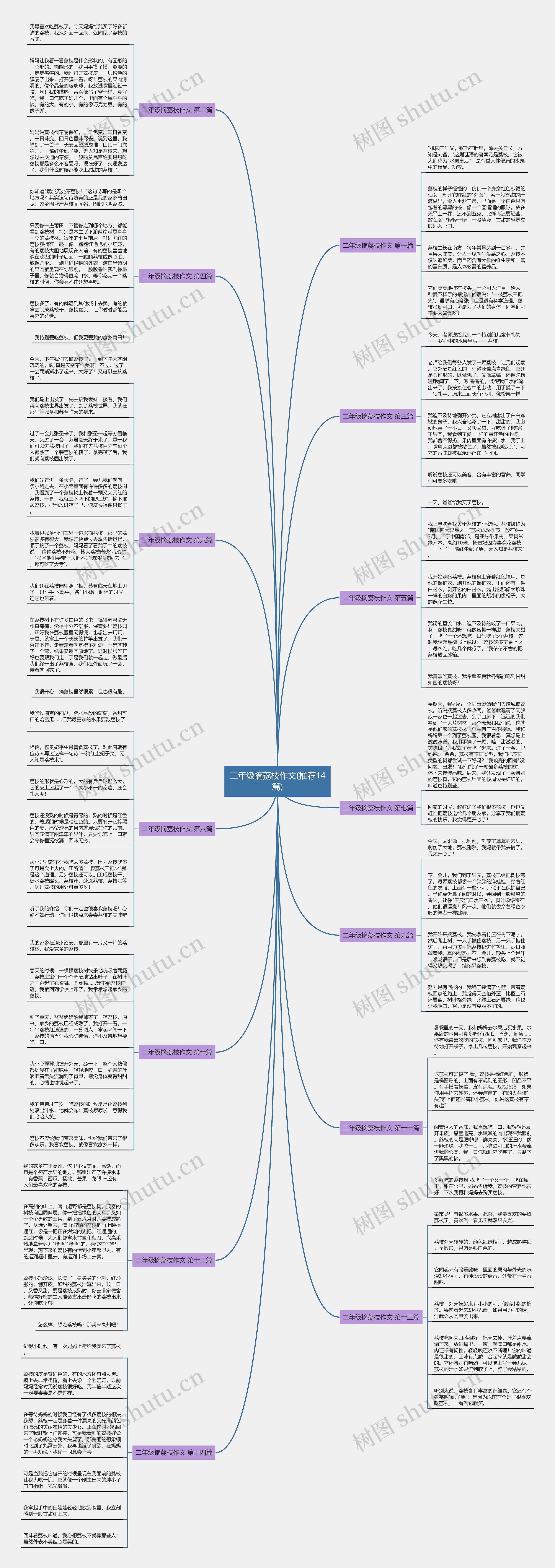二年级摘荔枝作文(推荐14篇)思维导图