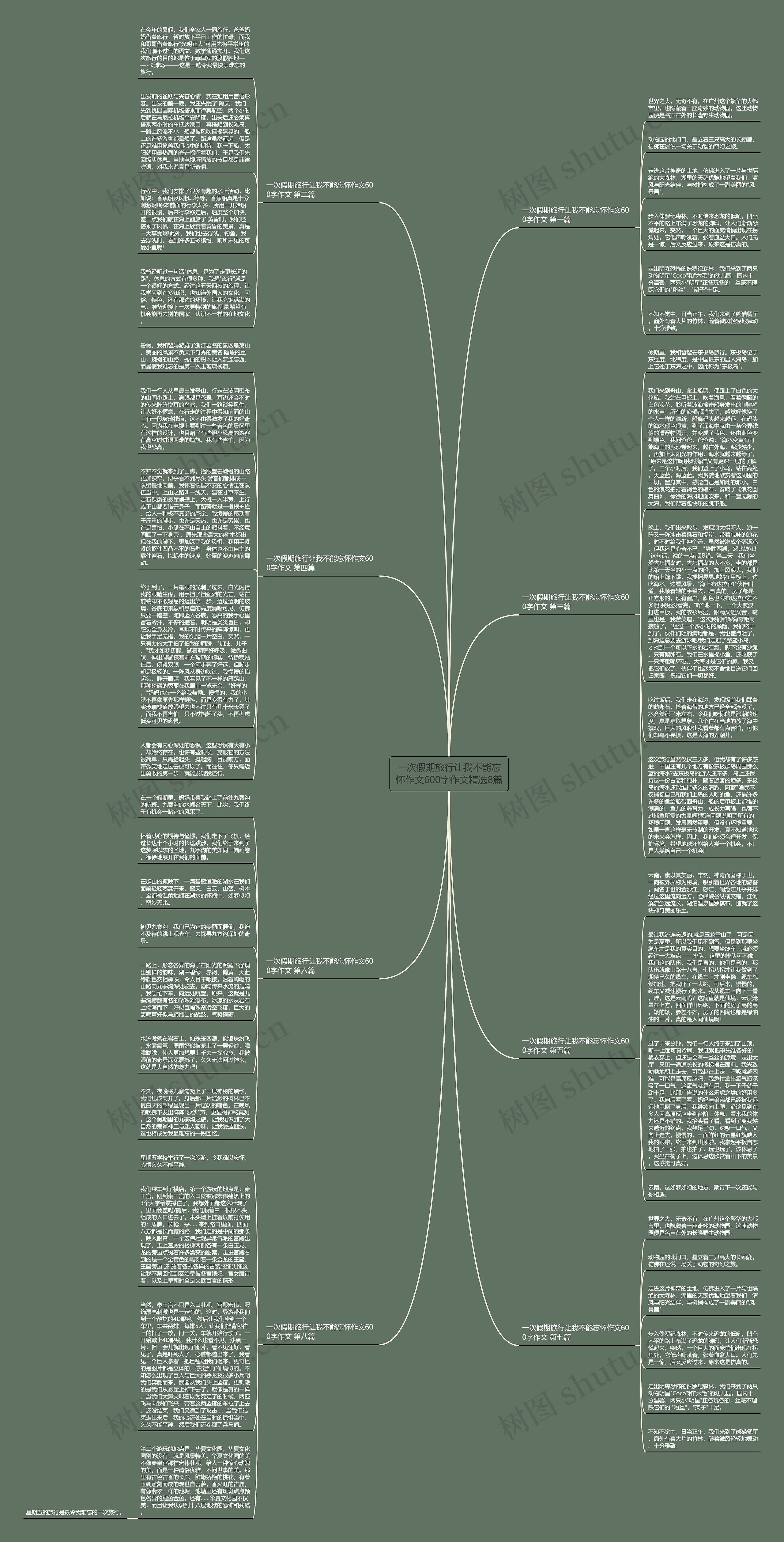 一次假期旅行让我不能忘怀作文600字作文精选8篇思维导图