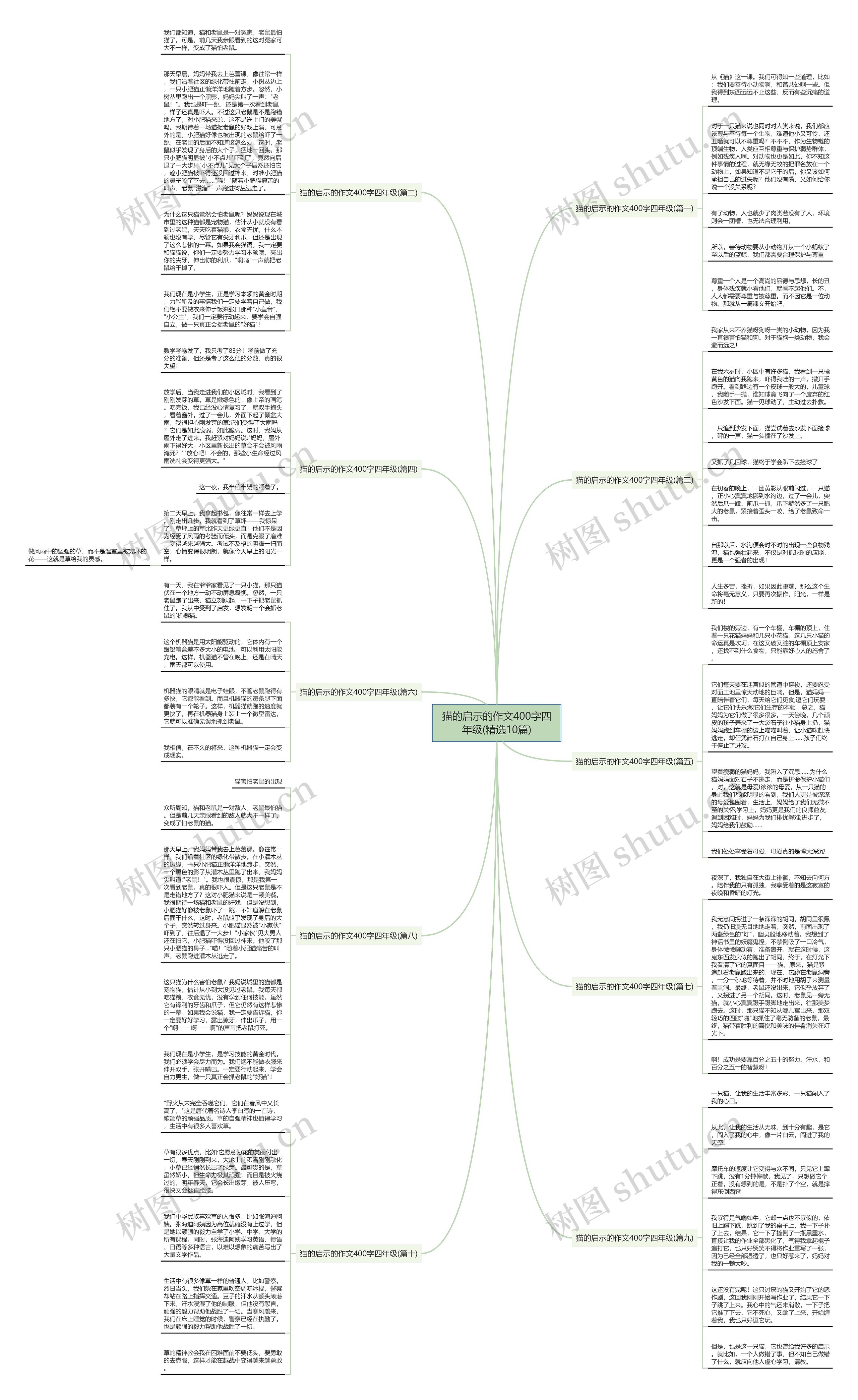 猫的启示的作文400字四年级(精选10篇)思维导图