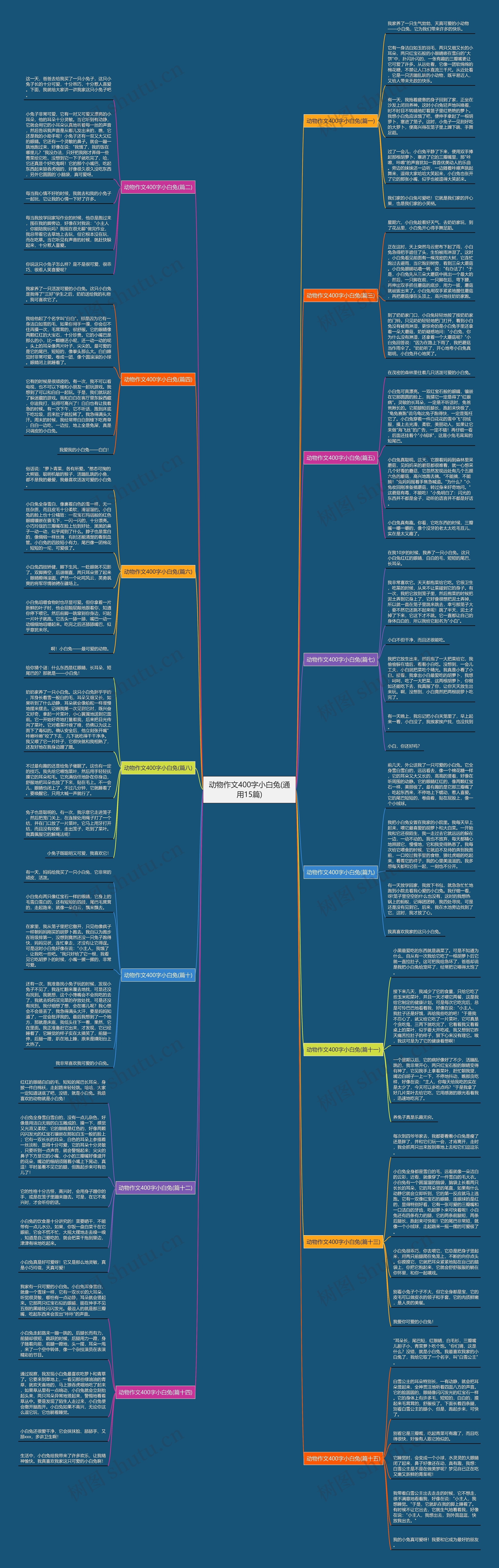 动物作文400字小白兔(通用15篇)思维导图