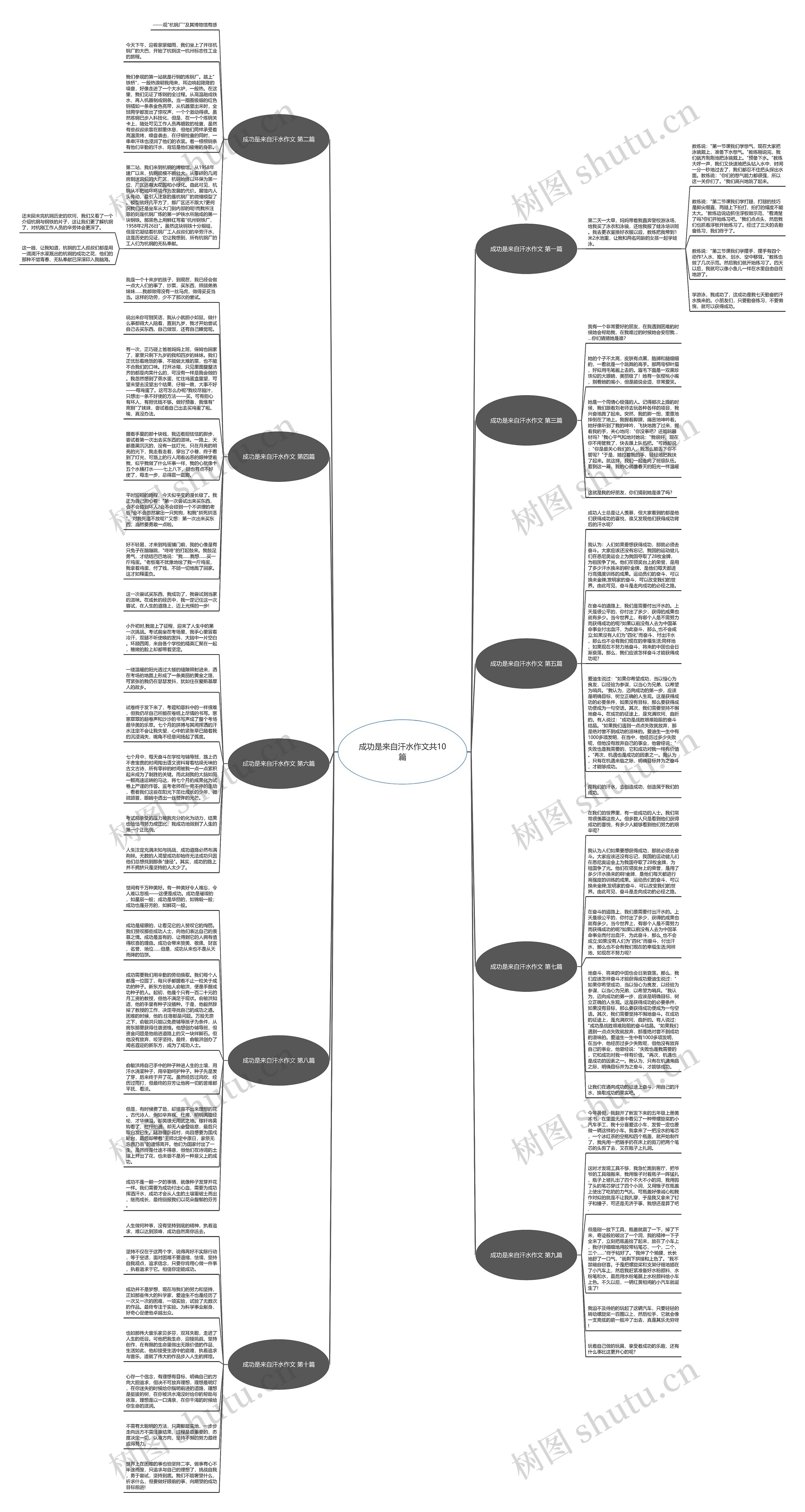 成功是来自汗水作文共10篇思维导图