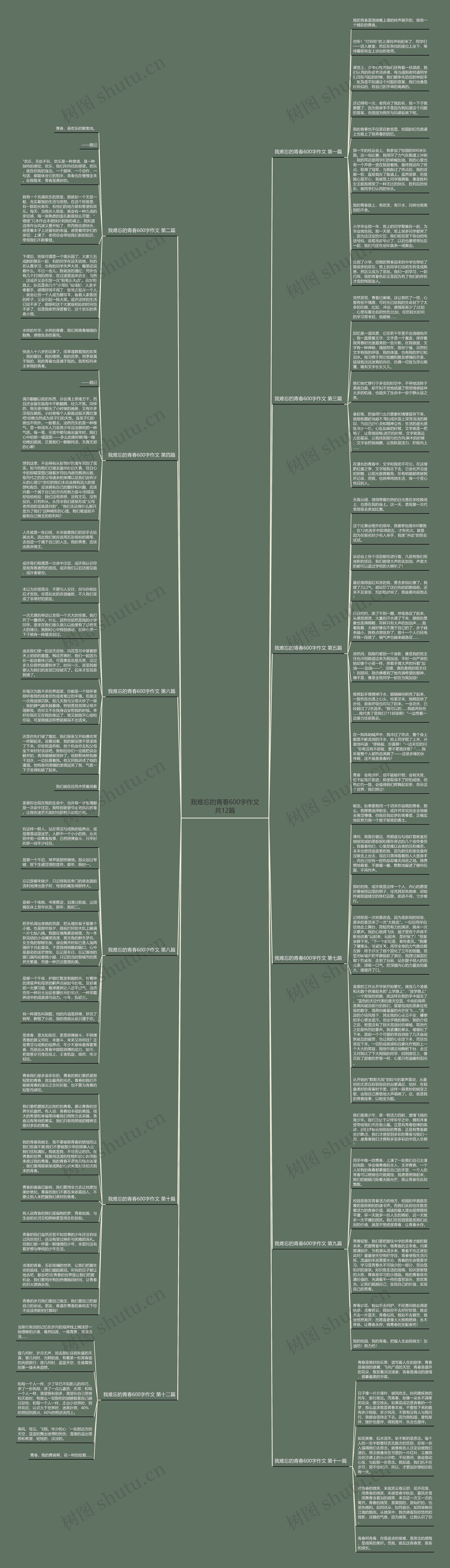 我难忘的青春600字作文共12篇思维导图
