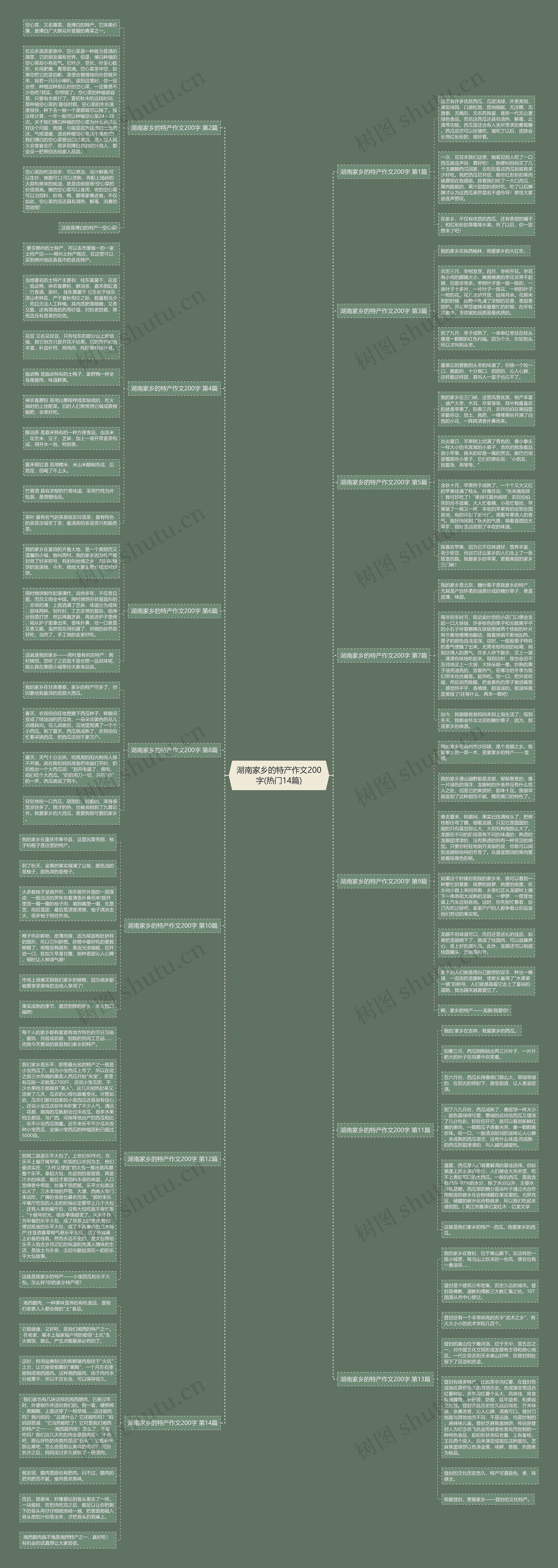 湖南家乡的特产作文200字(热门14篇)思维导图