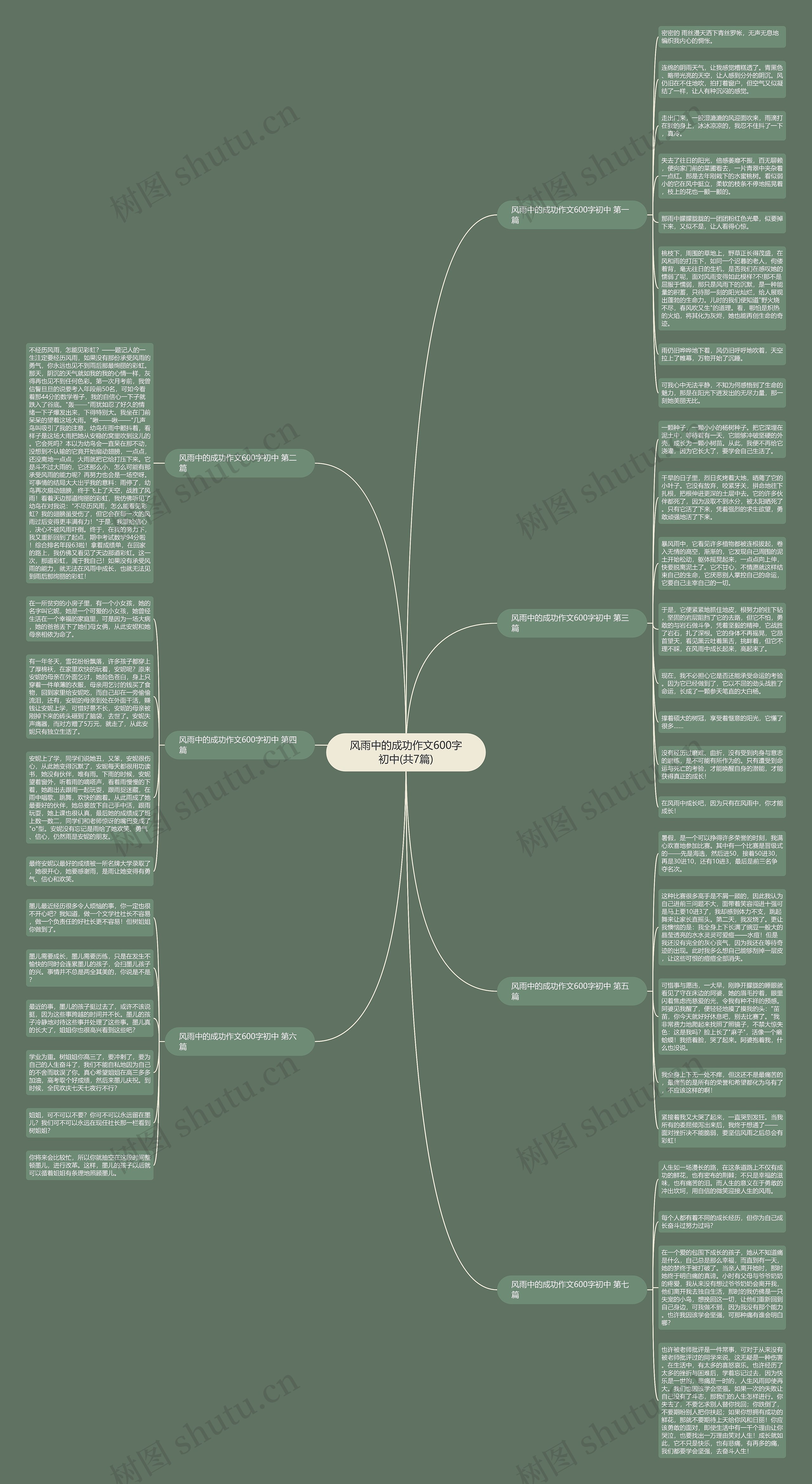风雨中的成功作文600字初中(共7篇)