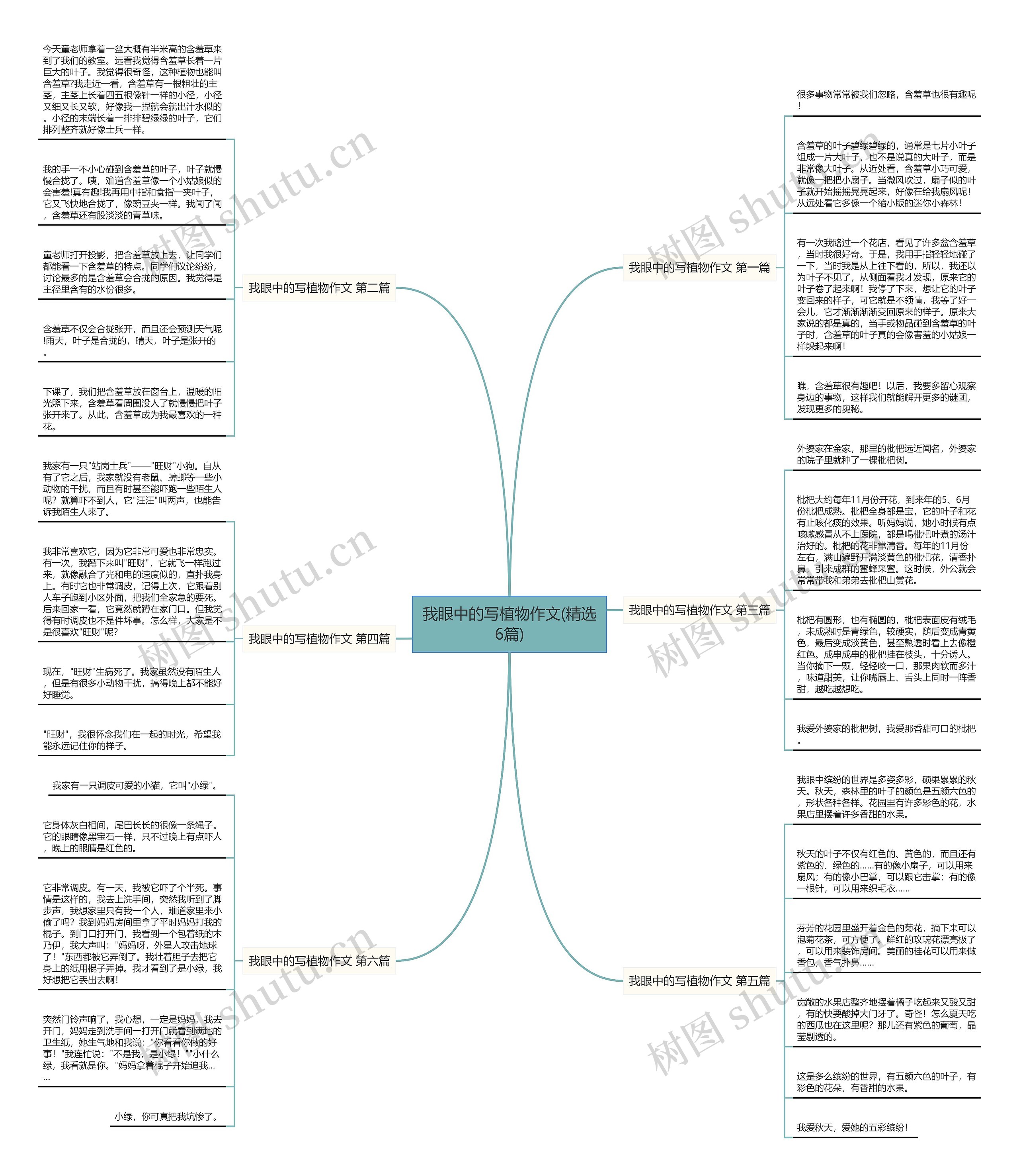 我眼中的写植物作文(精选6篇) 我眼中的写植物作文(精选6篇)