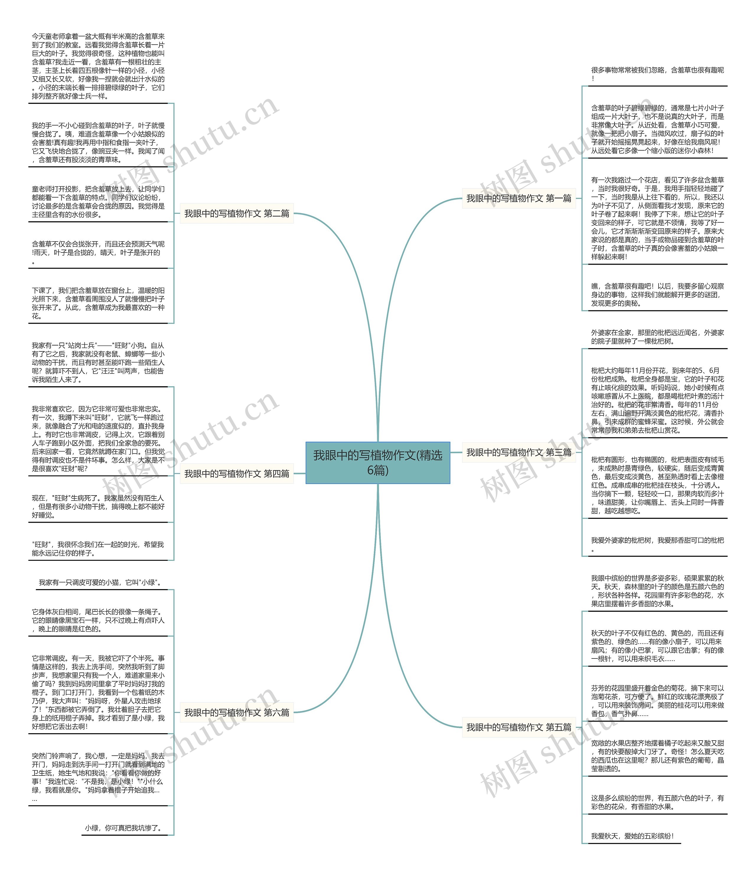 我眼中的写植物作文(精选6篇)思维导图