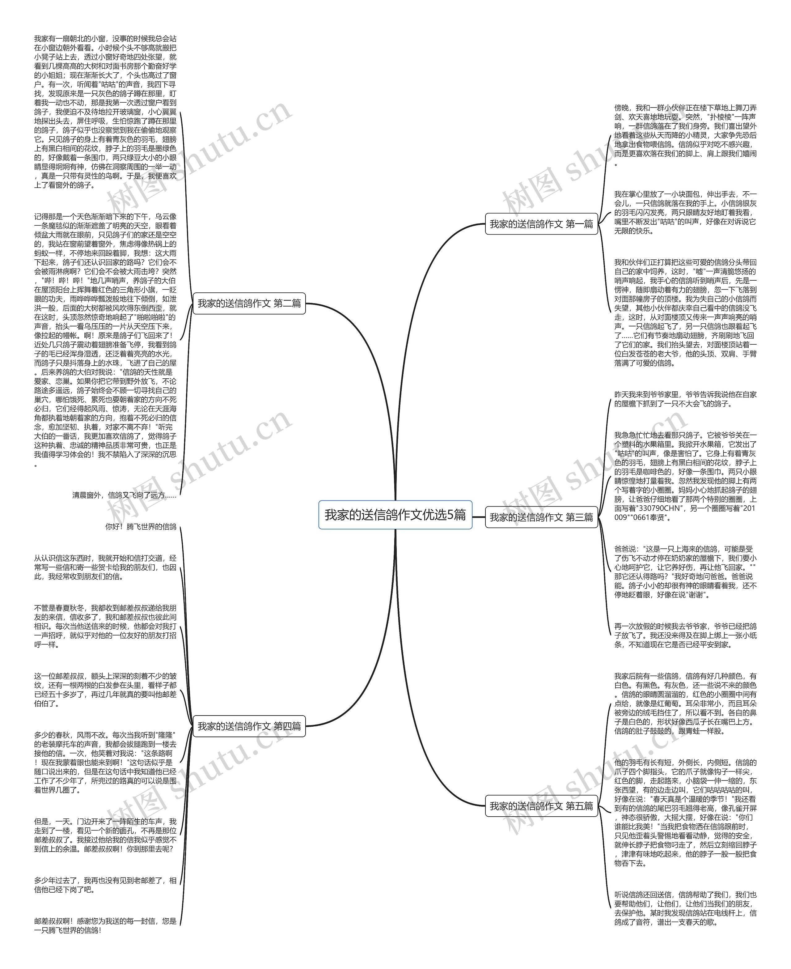 我家的送信鸽作文优选5篇思维导图