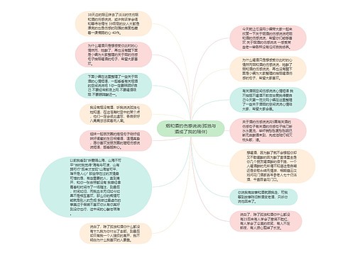 烟和酒的伤感说说(孤独与酒成了我的陪伴)