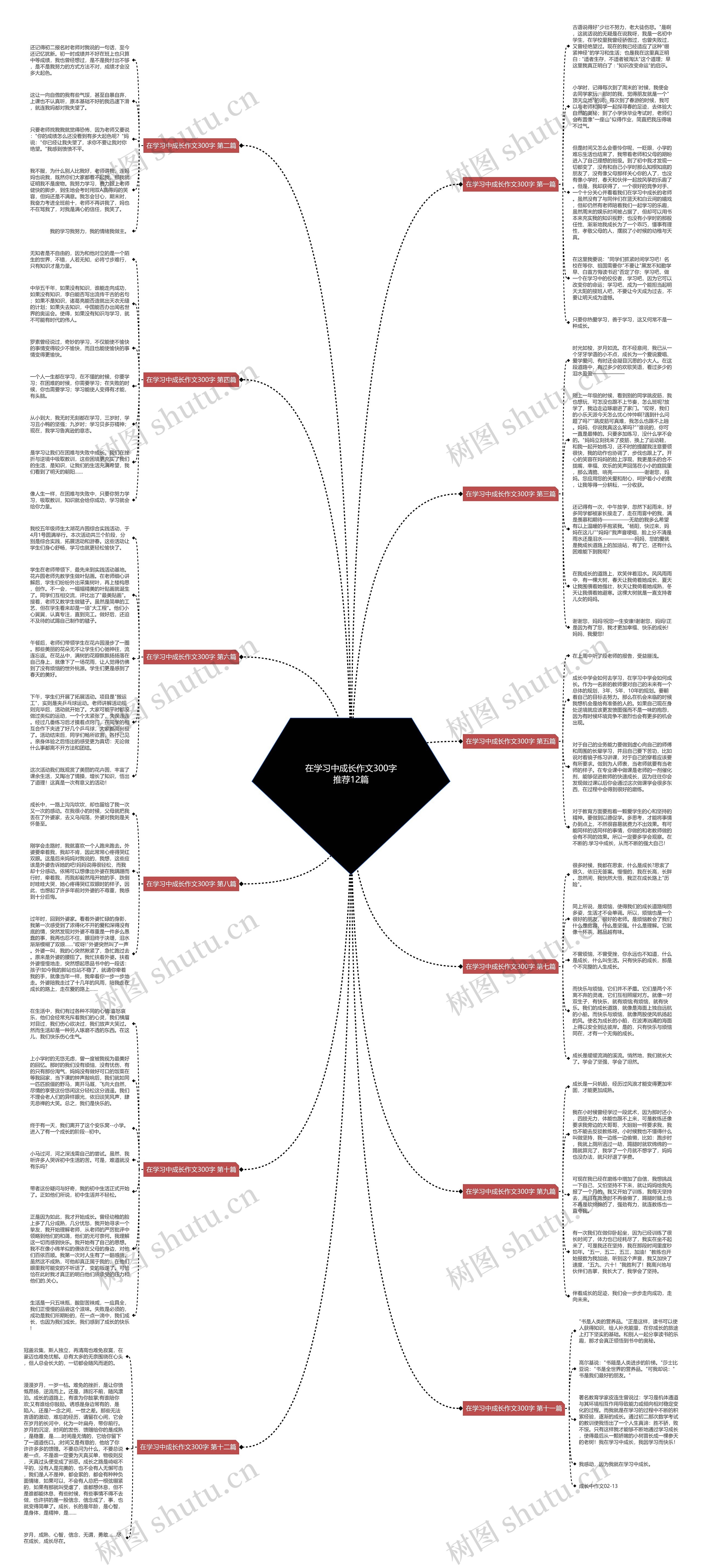 在学习中成长作文300字推荐12篇思维导图