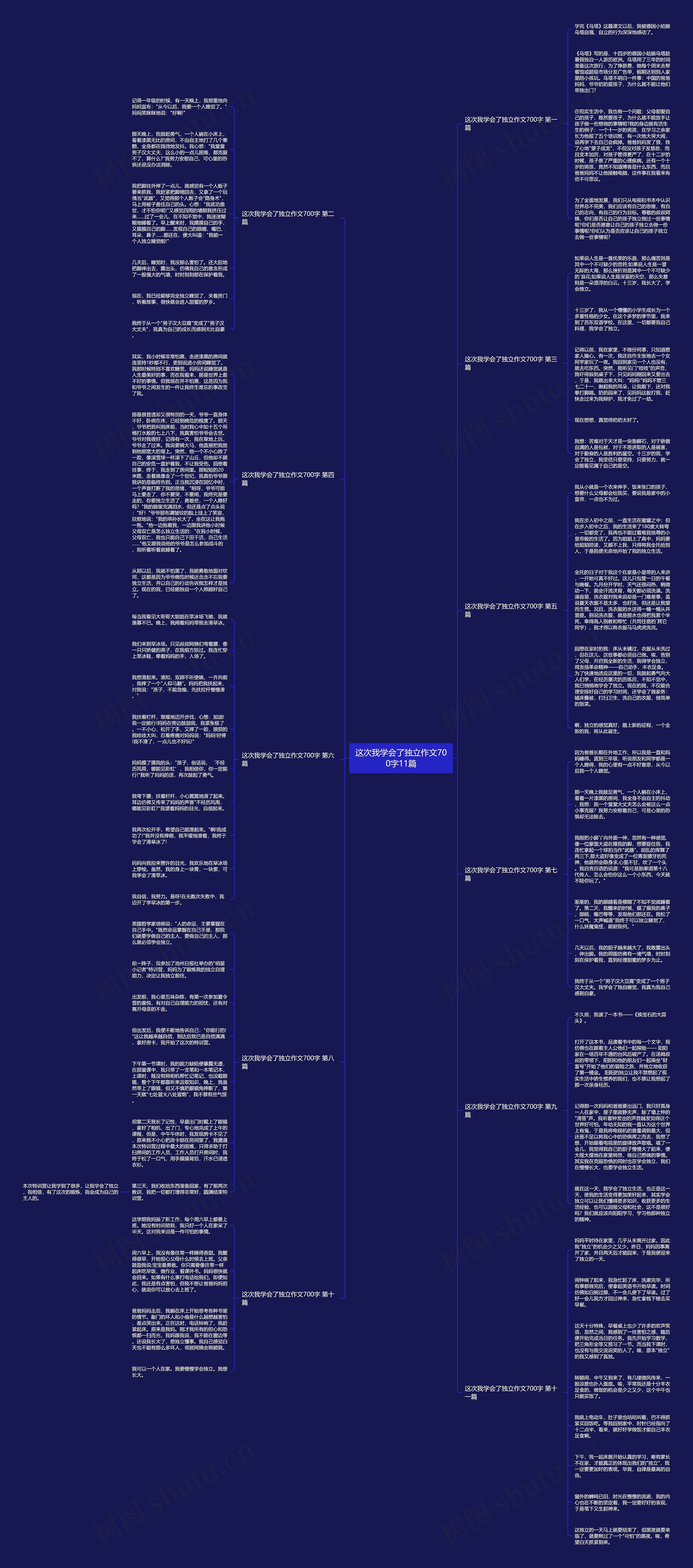 这次我学会了独立作文700字11篇思维导图