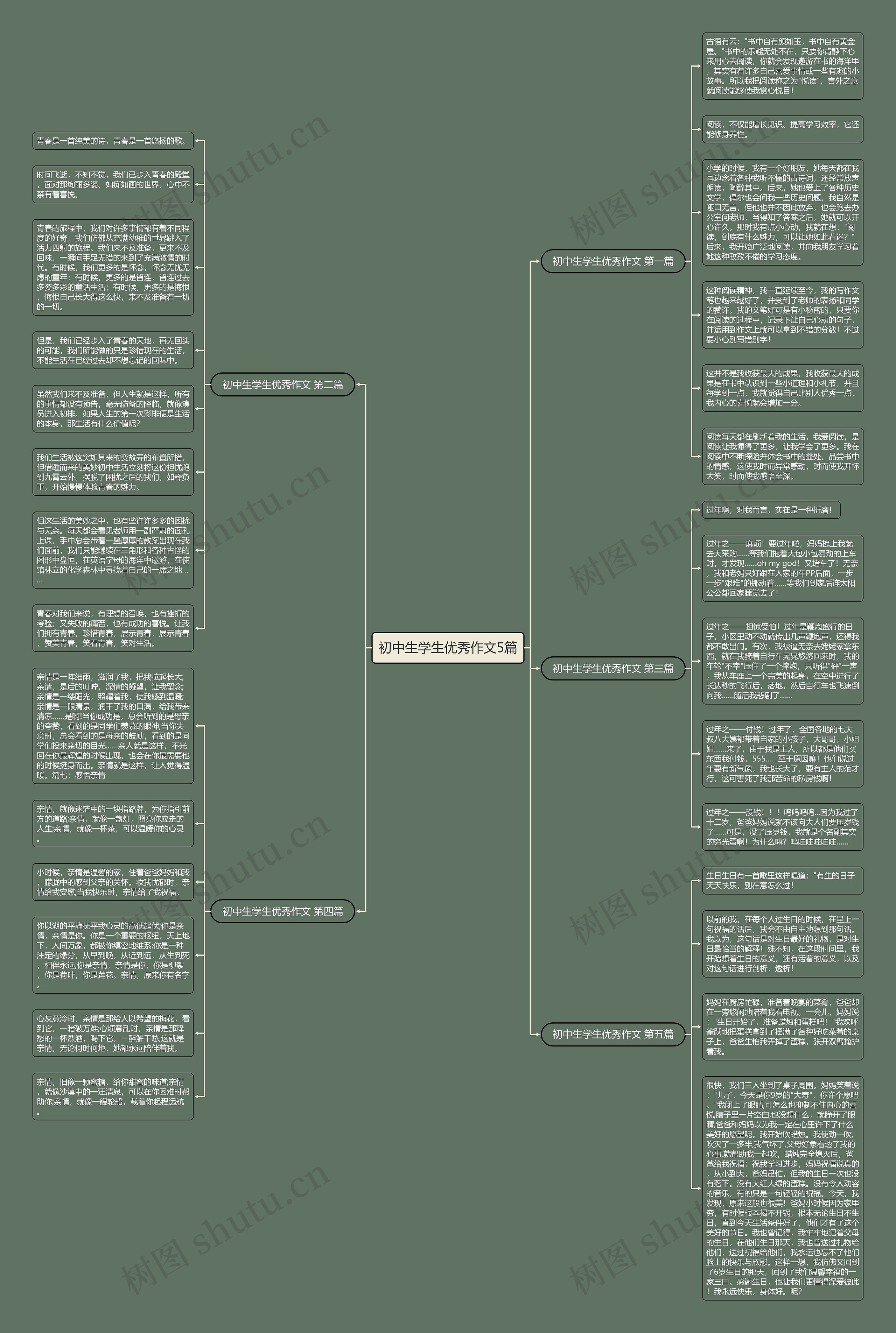 初中生学生优秀作文5篇思维导图