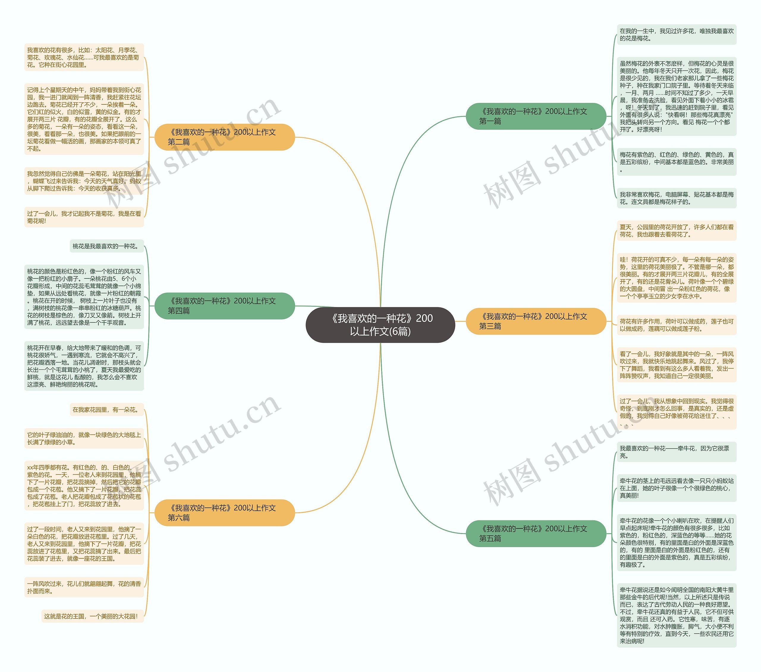 《我喜欢的一种花》200以上作文(6篇)思维导图