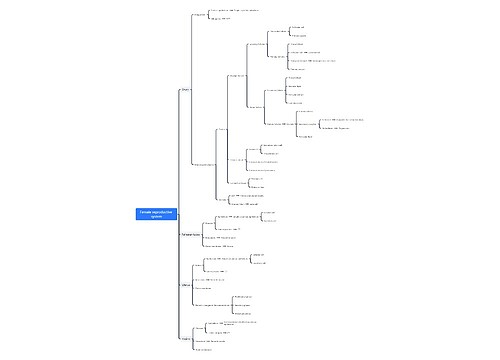 ﻿Female reproductive system