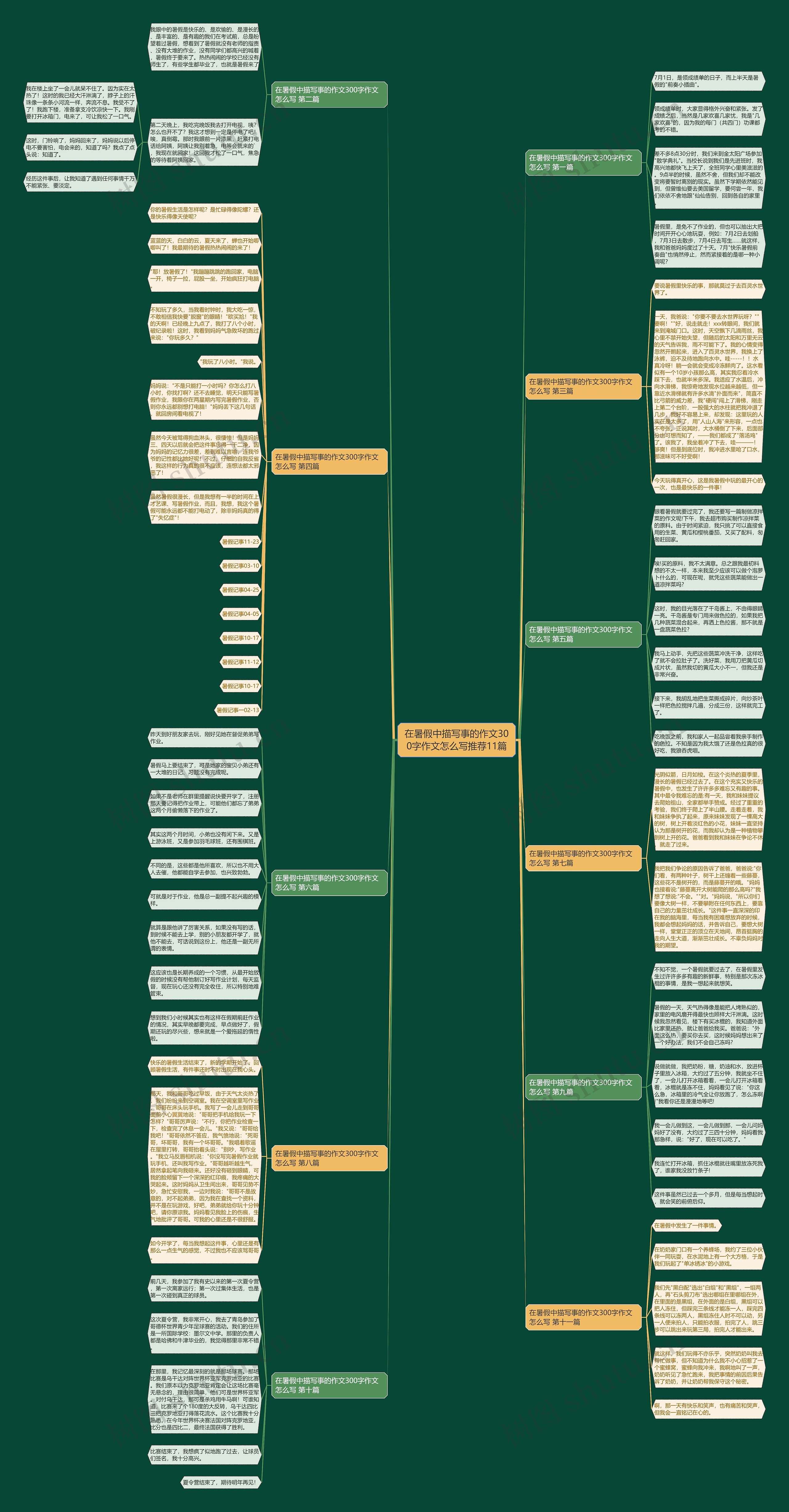 在暑假中描写事的作文300字作文怎么写推荐11篇 在暑假中描写事的作文300字作文怎么写推荐11篇