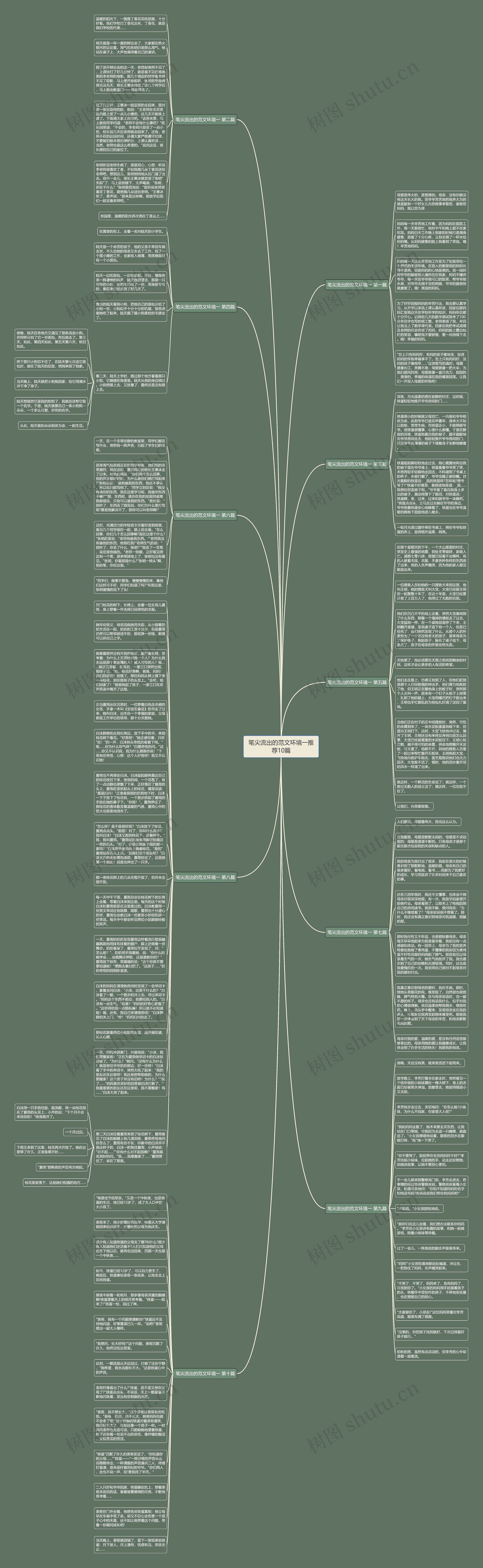 笔尖流出的范文环境一推荐10篇思维导图