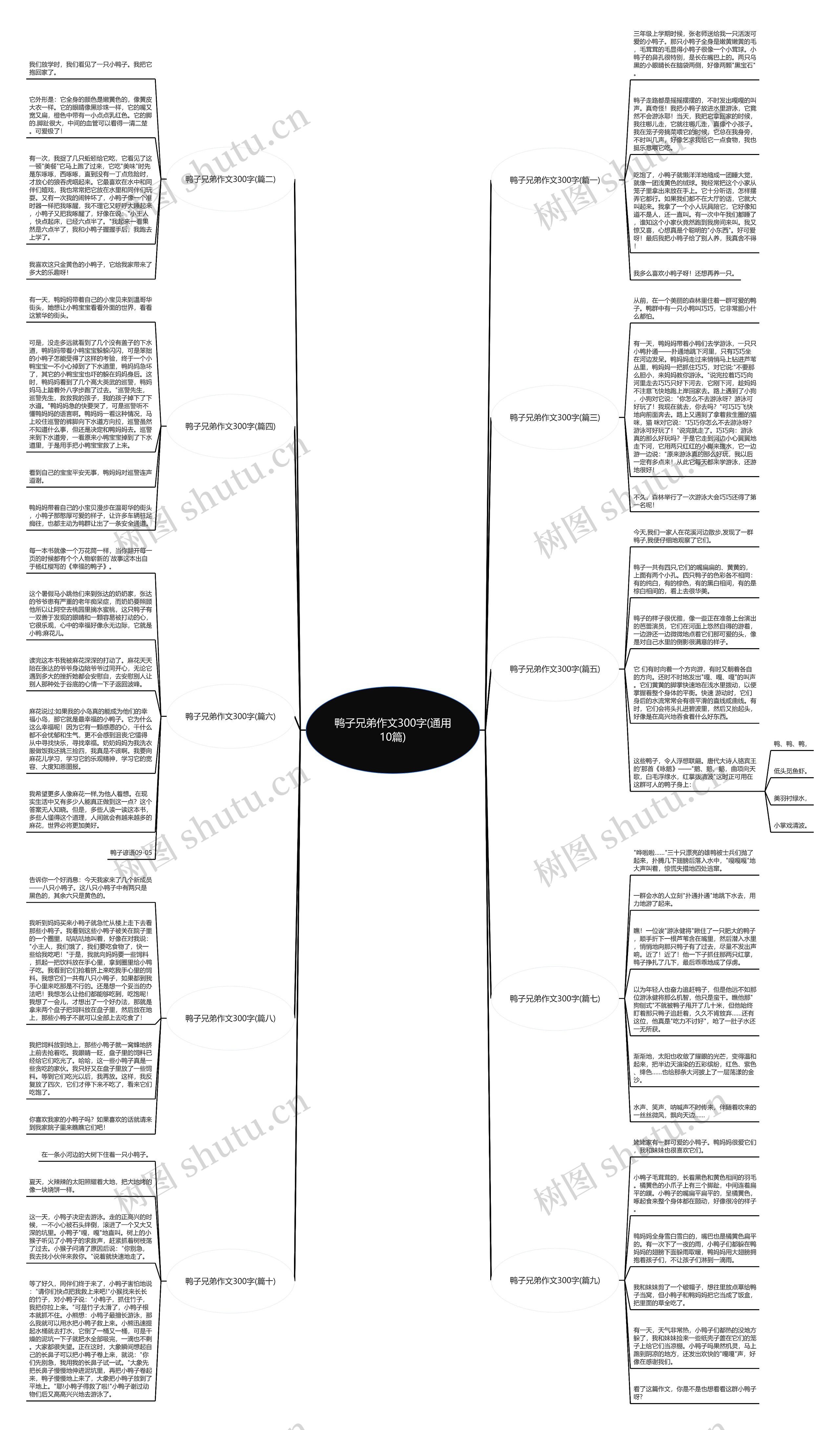 鸭子兄弟作文300字(通用10篇)思维导图