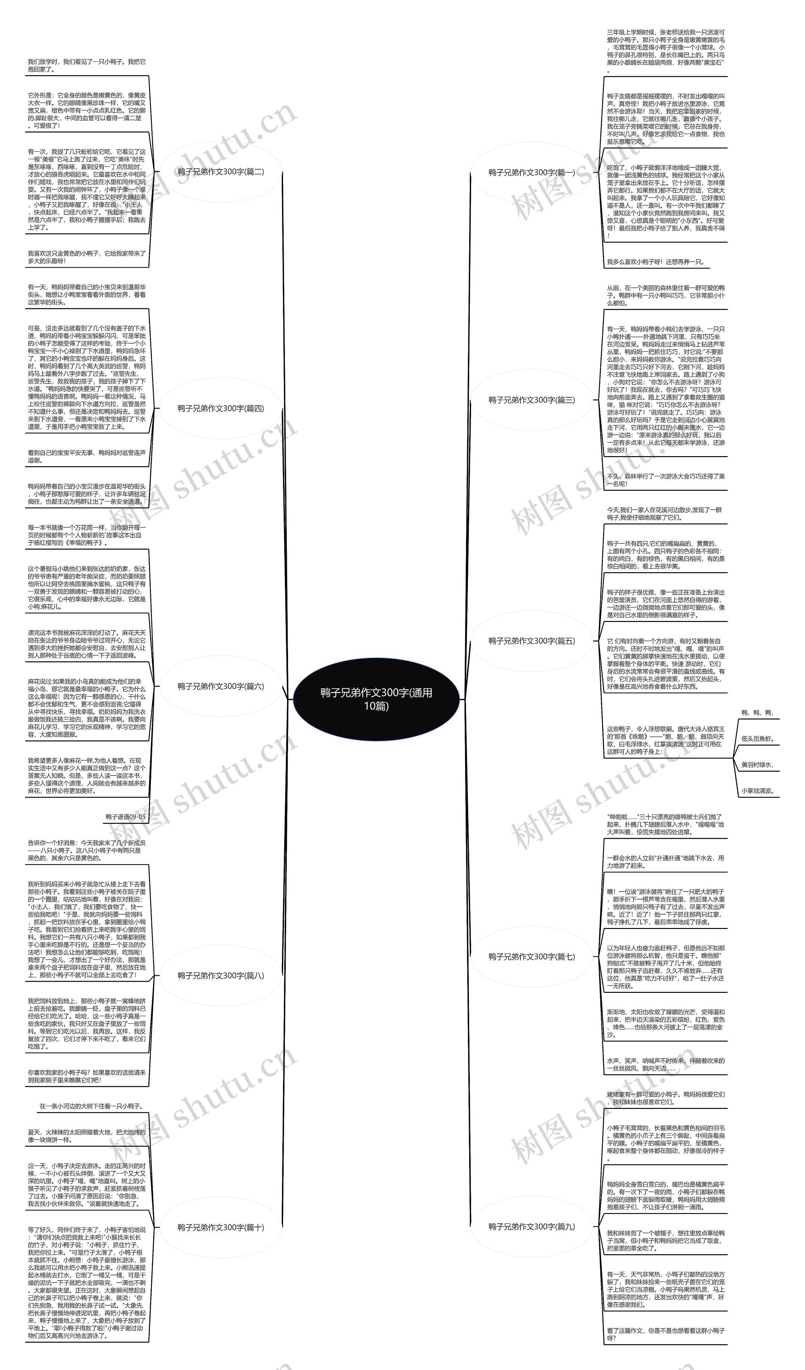鸭子兄弟作文300字(通用10篇) 鸭子兄弟作文300字(通用10篇)