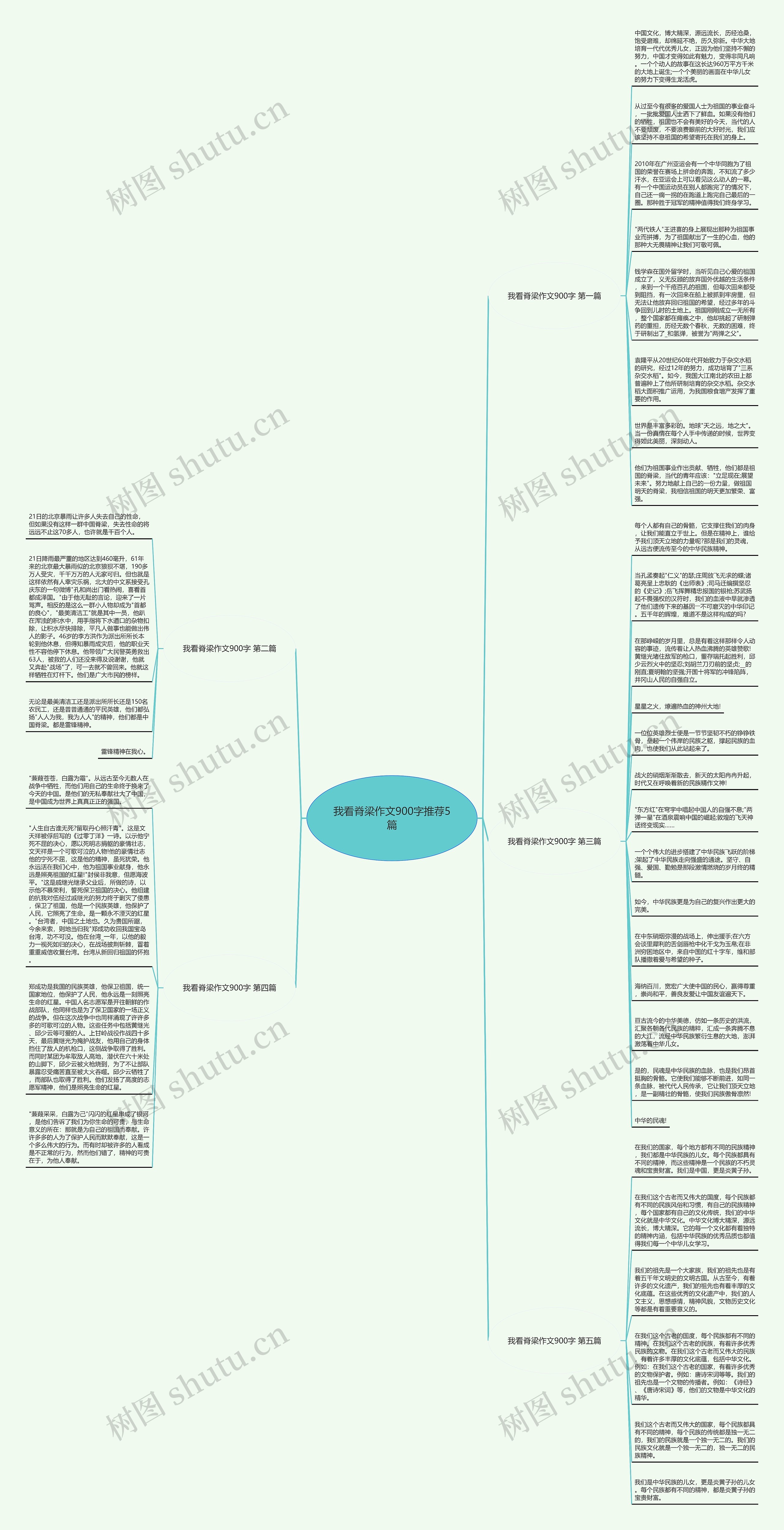 我看脊梁作文900字推荐5篇思维导图