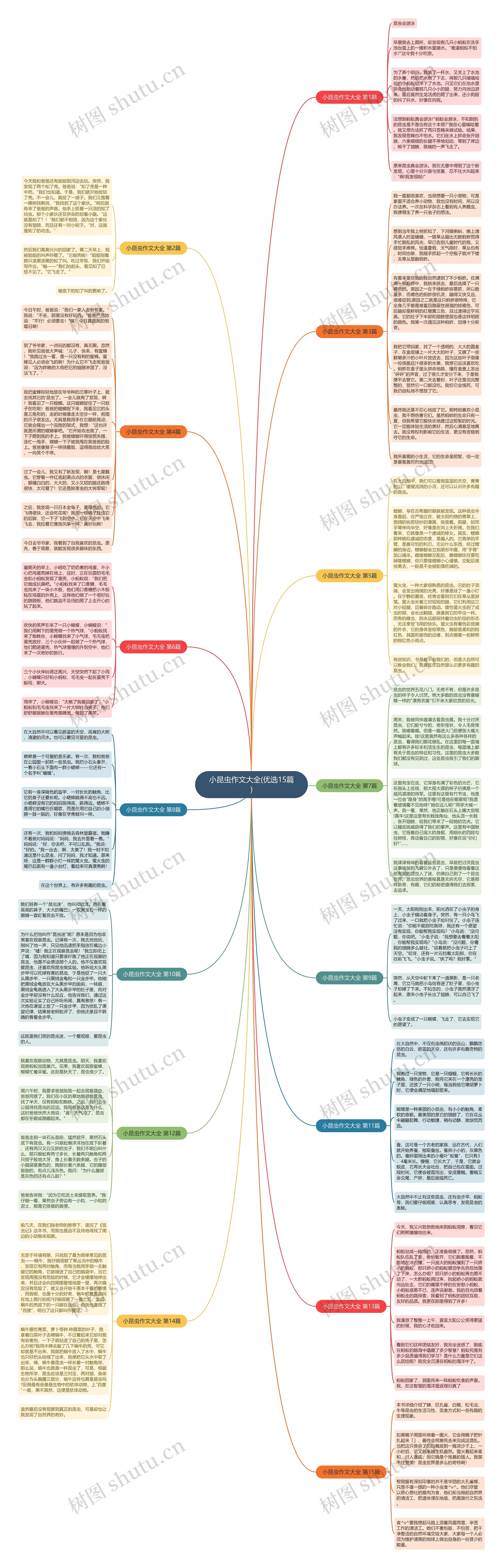 小昆虫作文大全(优选15篇)思维导图