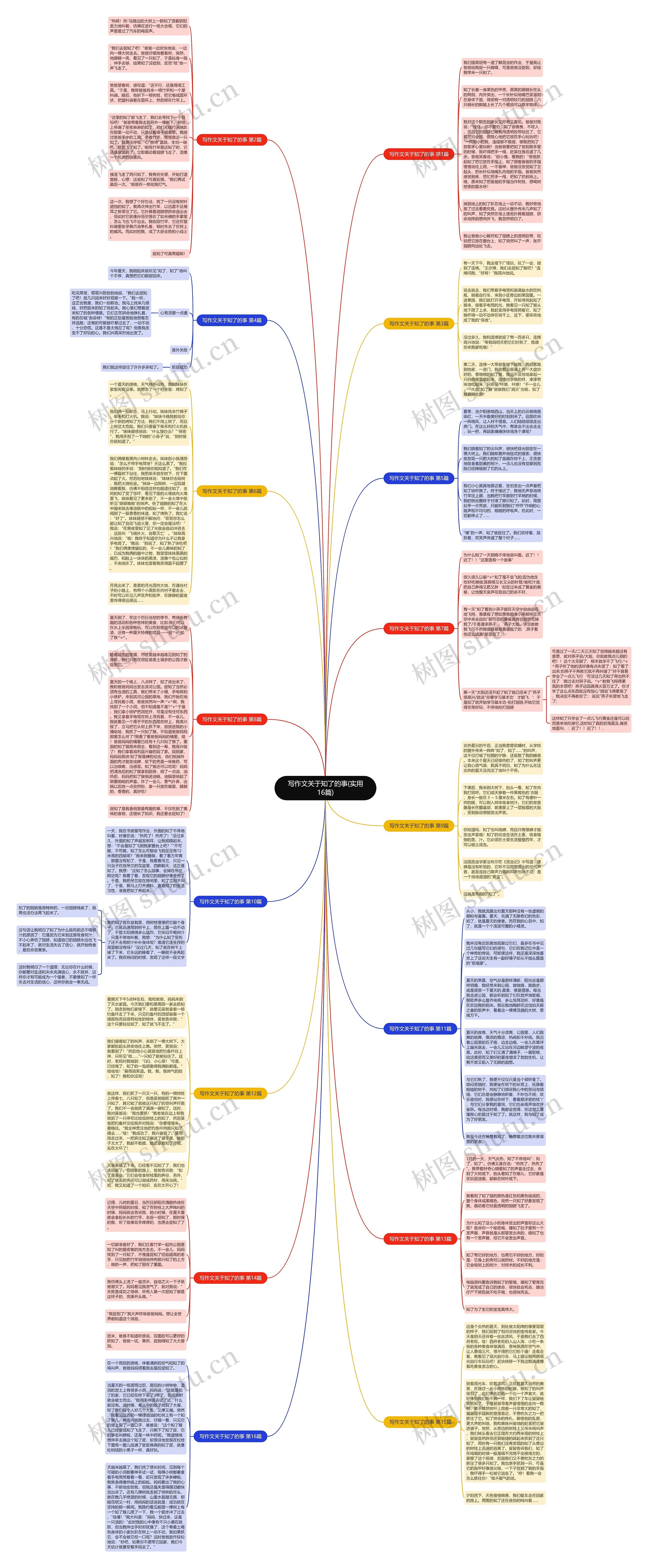 写作文关于知了的事(实用16篇)思维导图
