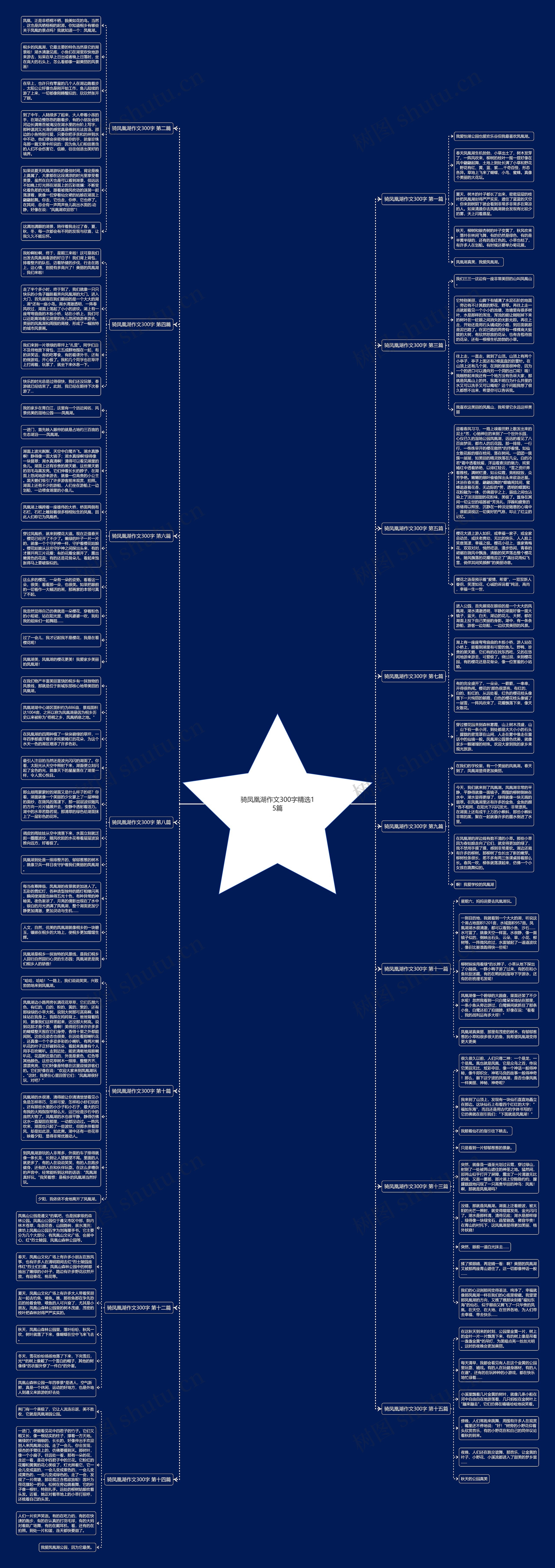 骑凤凰湖作文300字精选15篇思维导图