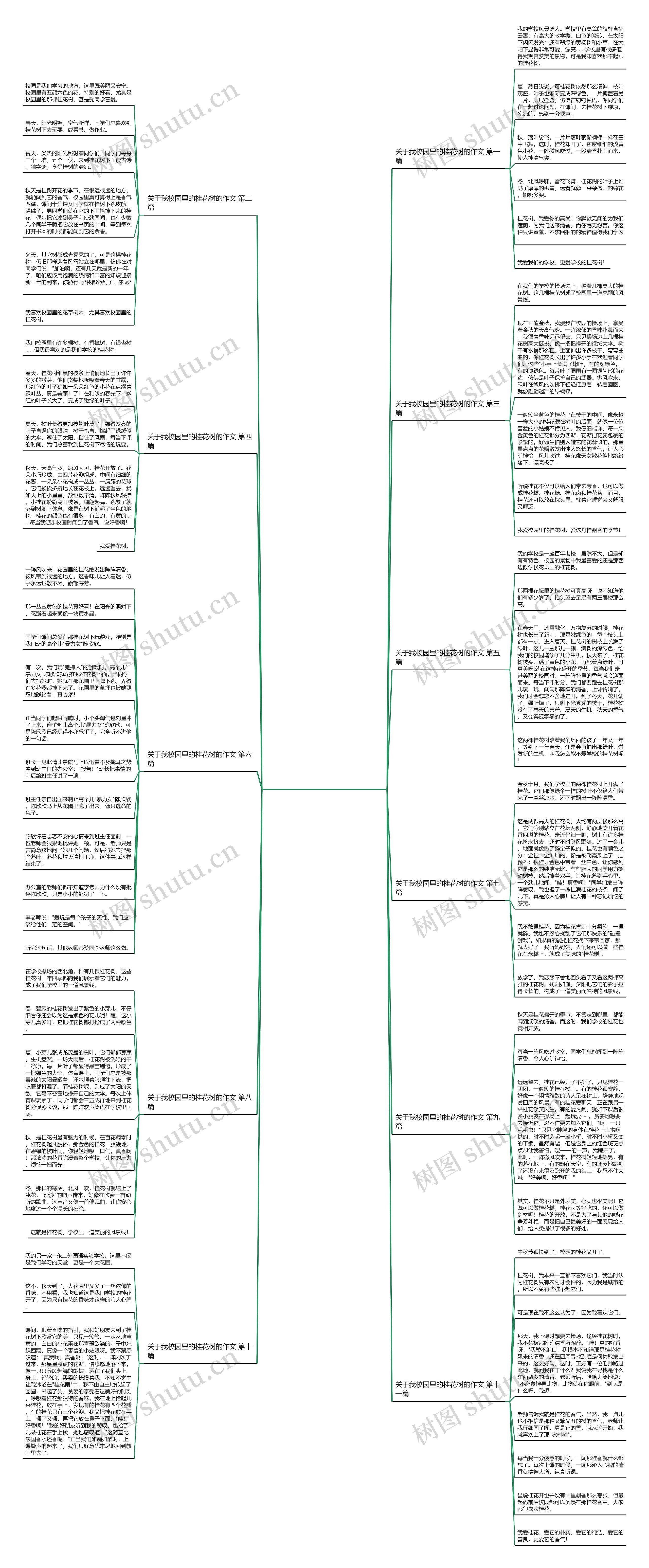 关于我校园里的桂花树的作文优选11篇思维导图